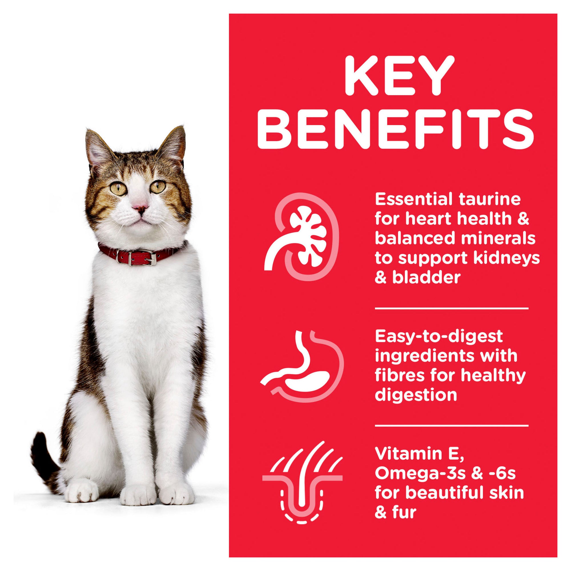 Hill's Science Diet Adult 7+ Ocean Fish Cat Food Pouches 09