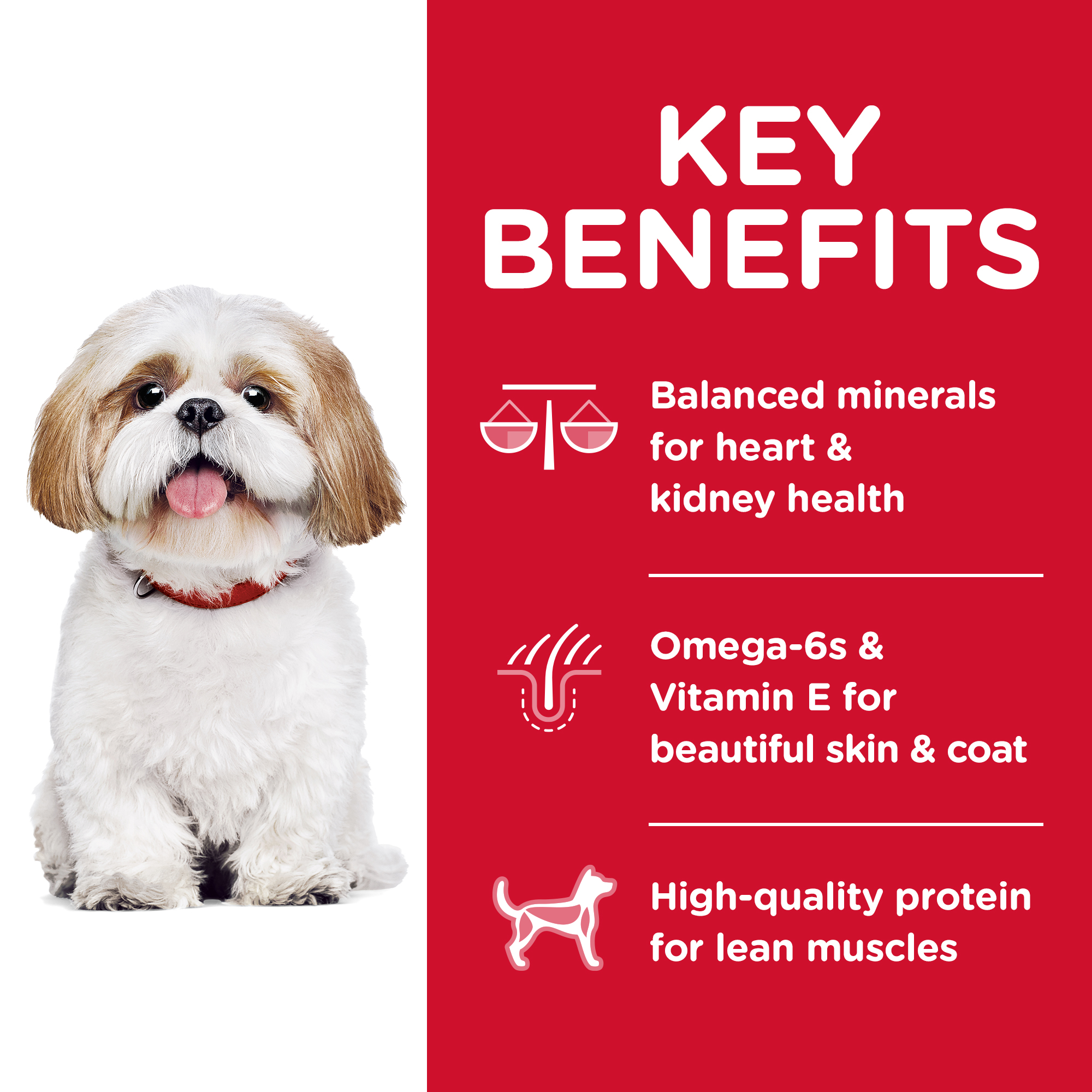 Hill's Science Diet Dry Dog Food Senior Adult 7+ Small Bites Senior