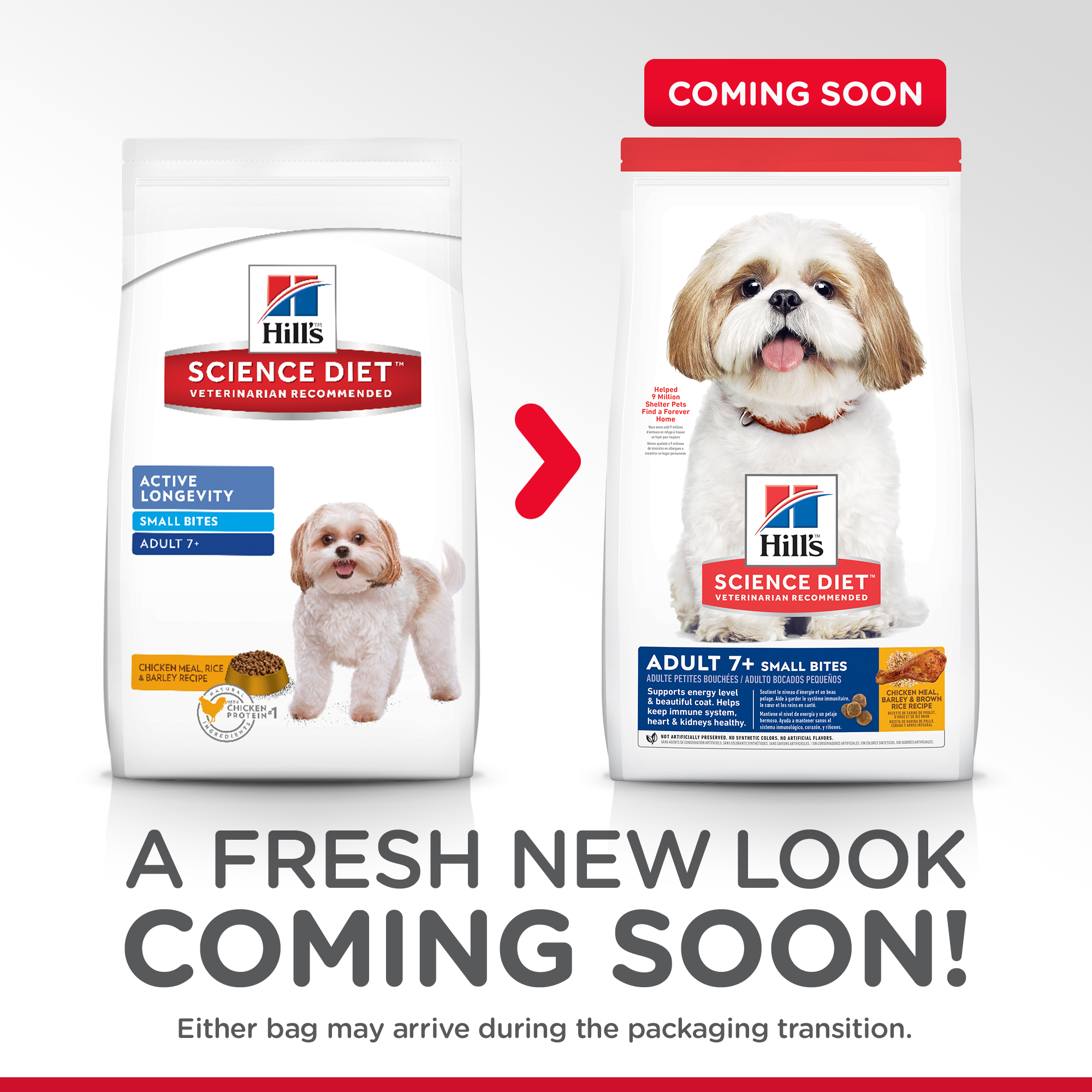 Hill's Science Diet Dry Dog Food Senior Adult 7+ Small Bites Senior