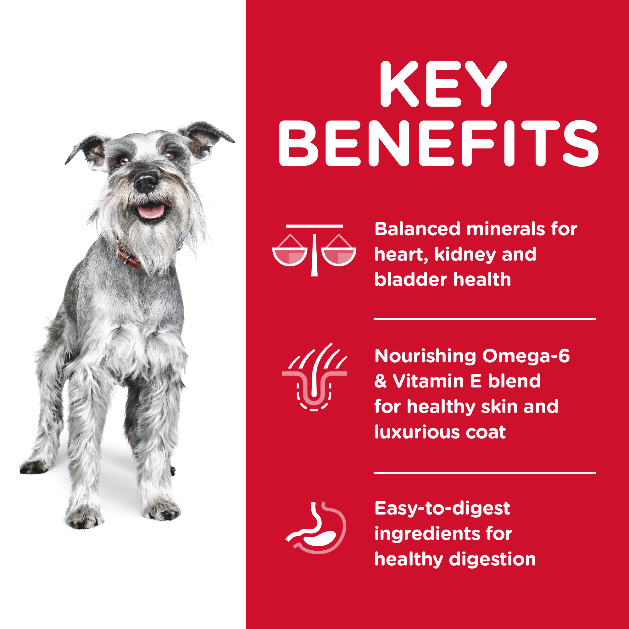 Hill's Science Diet Dry Dog Food Adult 7+ Senior Small Paws