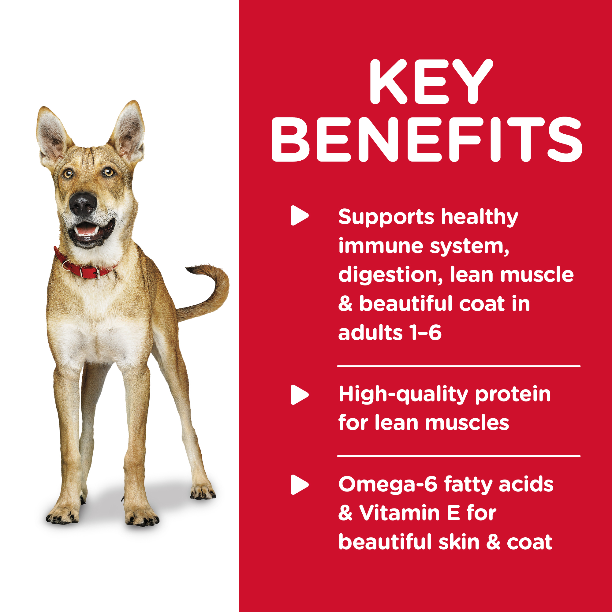 Hill's Science Diet Canned Dog Food Adult Beef & Barley Entree 04