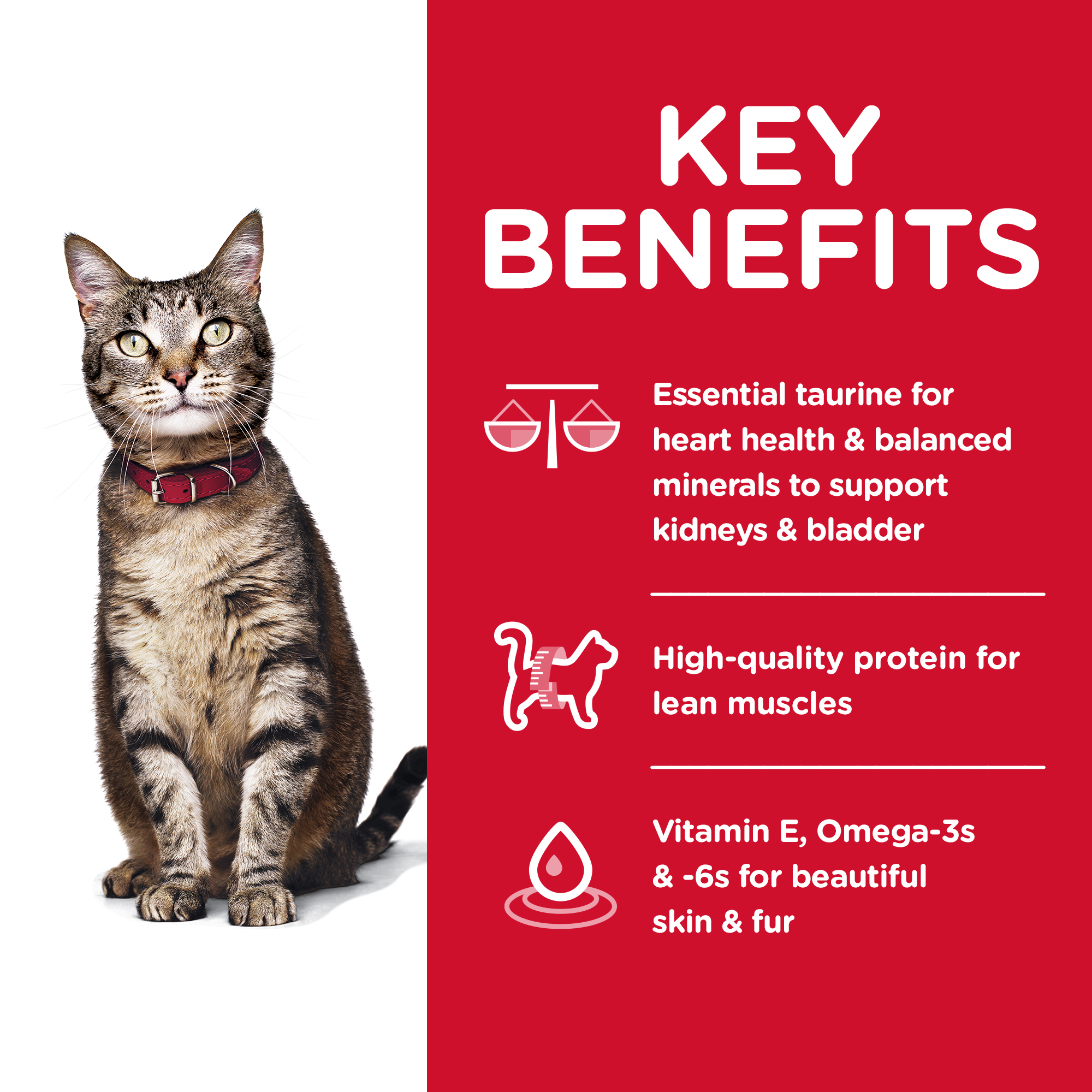 Hill's Science Diet Dry Cat Food Adult 07