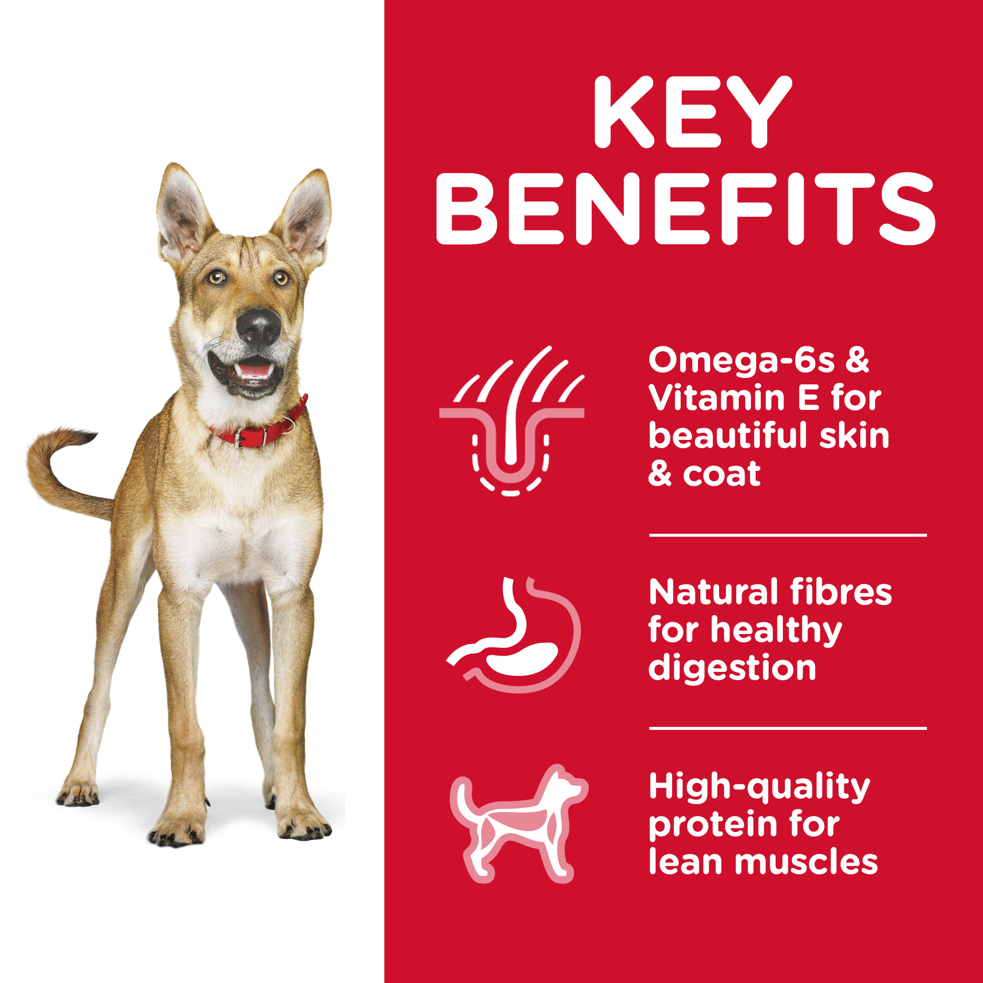 Hill's Science Diet Dry Dog Food Adult