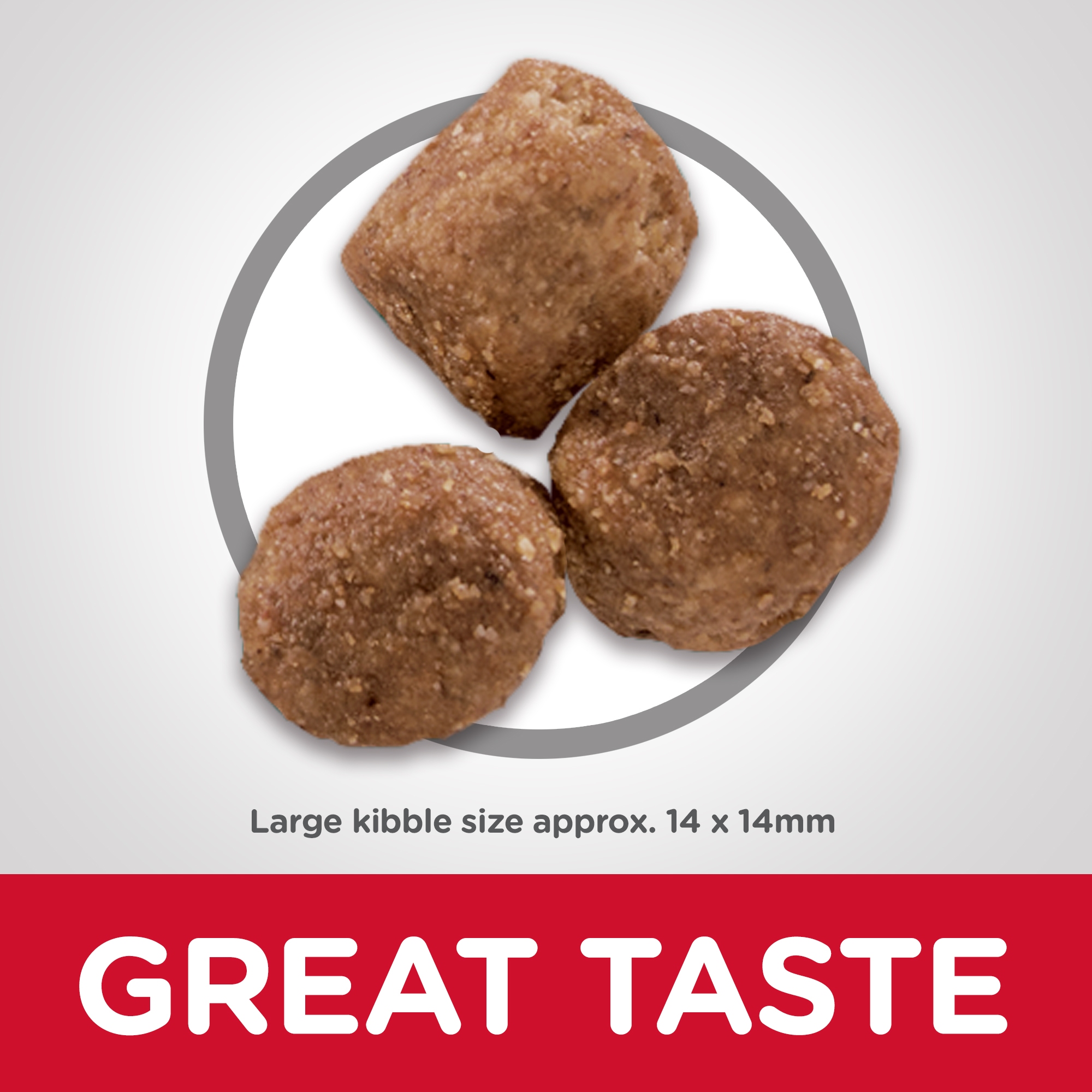 Hill's Science Diet Dry Dog Food Adult Healthy Mobility Large Breed