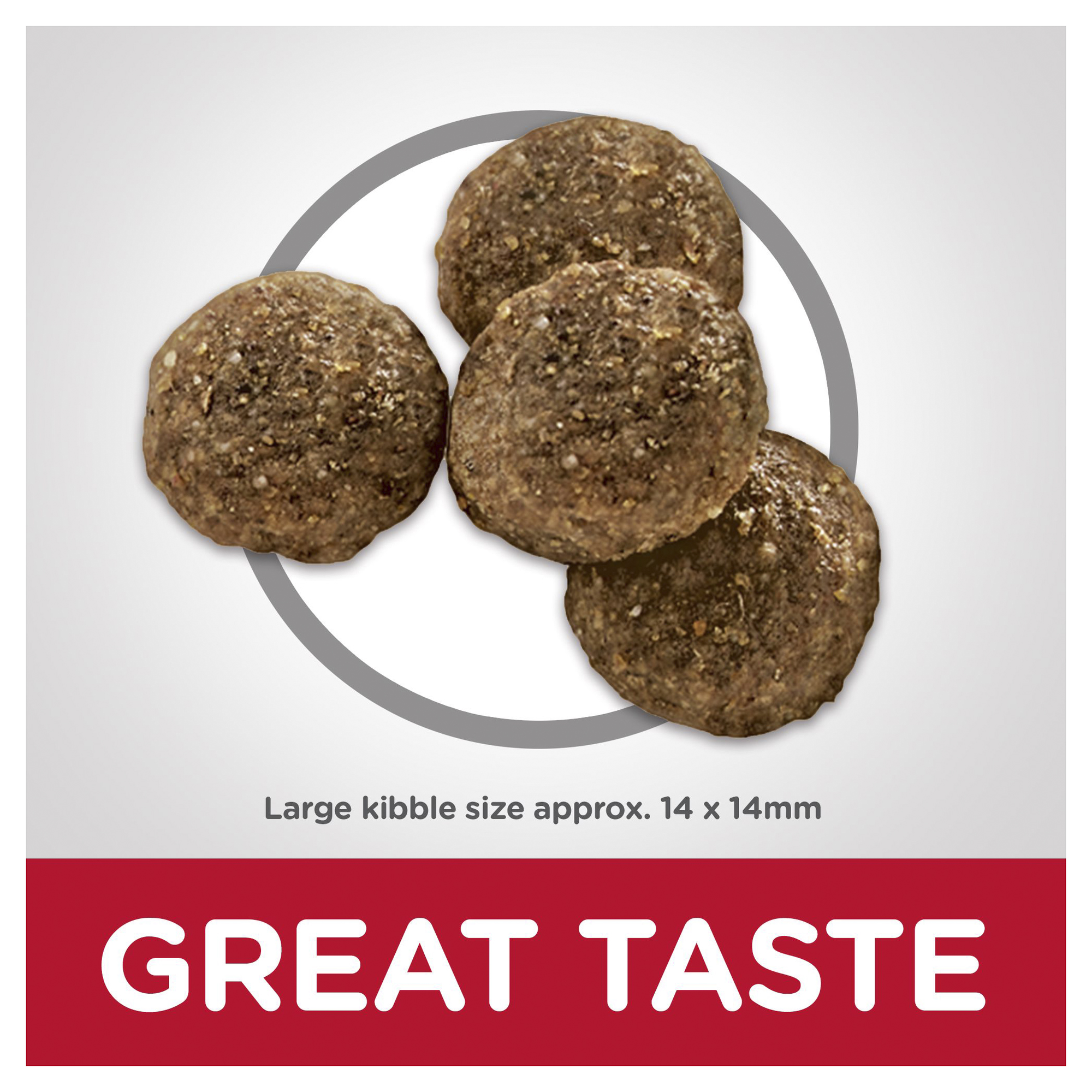 Hill's Science Diet Dry Dog Food Adult Large Breed Lamb & Rice