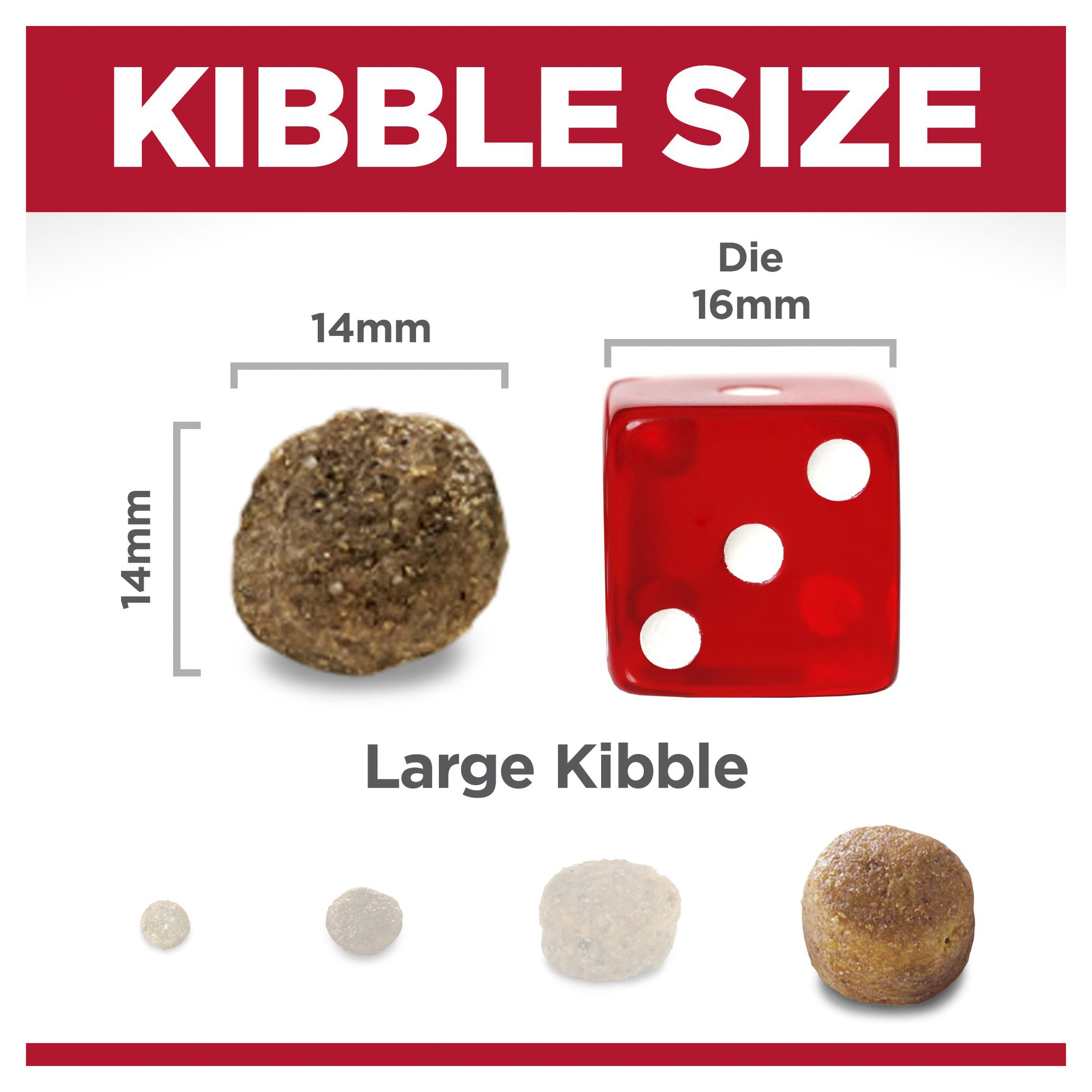 Hill's Science Diet Dry Dog Food Adult Large Breed Lamb & Rice