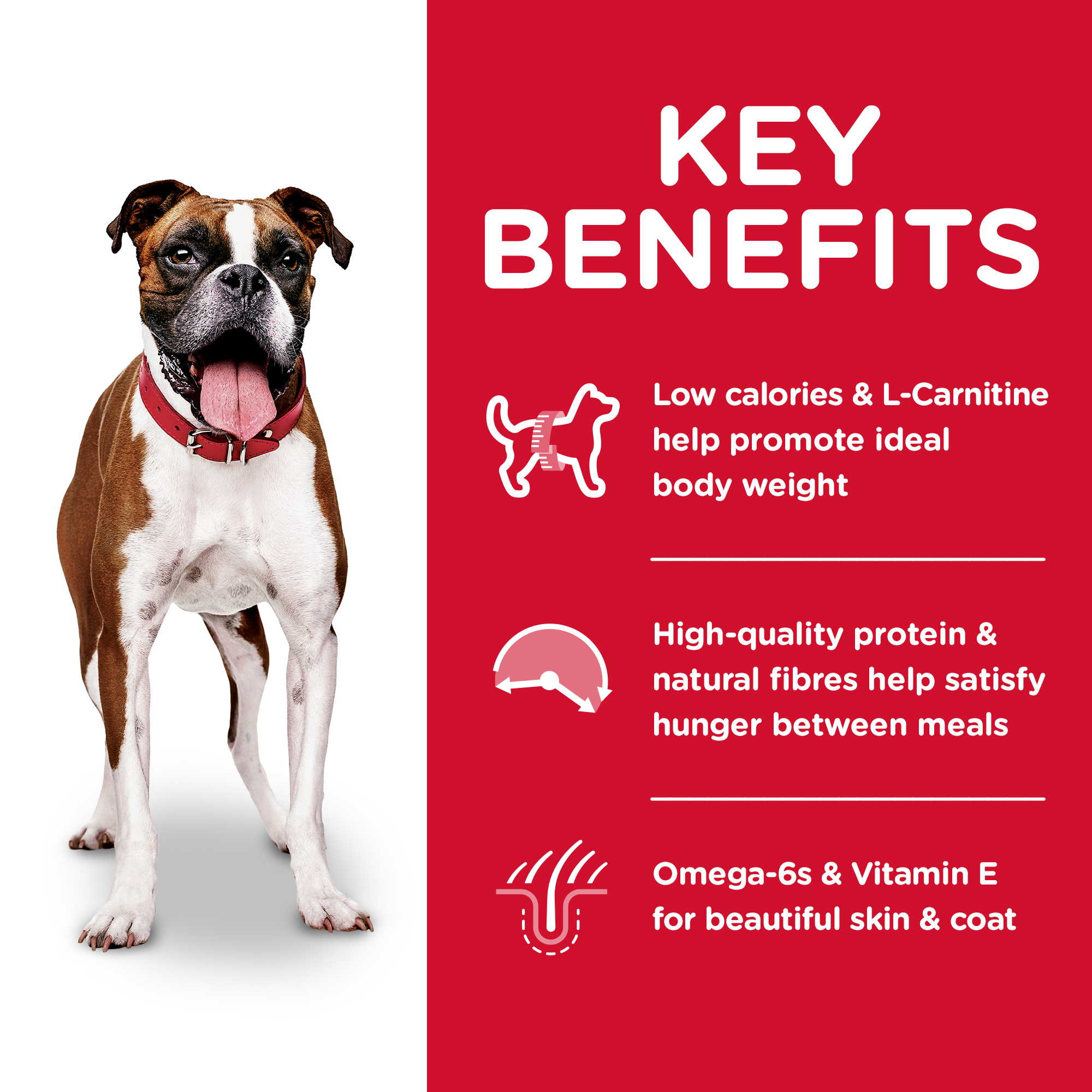 Hill's Science Diet Dry Dog Food Adult Light