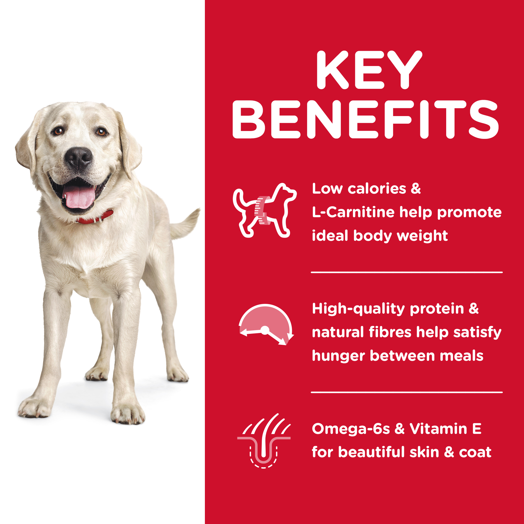 Hill's Science Diet Dry Dog Food Adult Light Large Breed