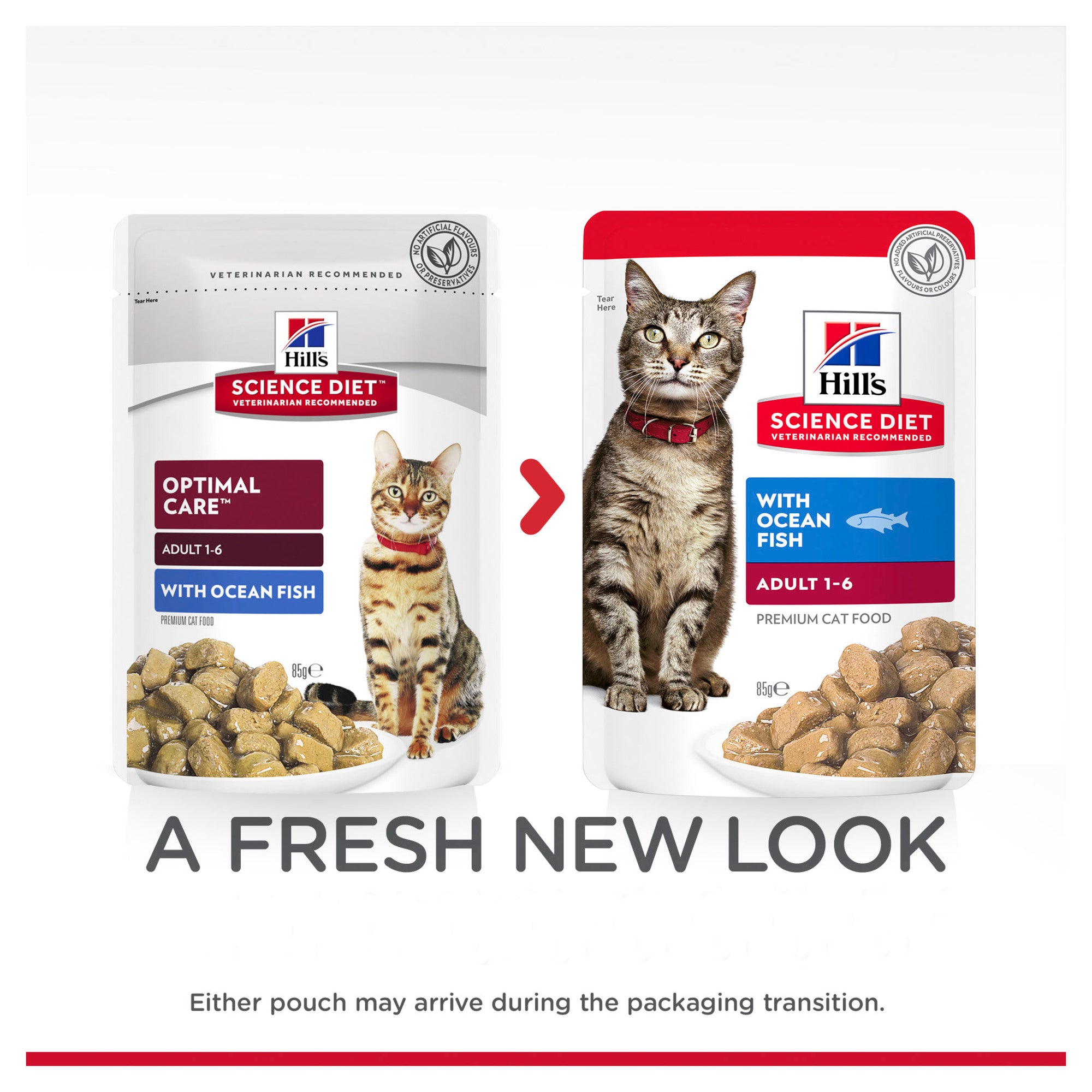 Hill's Science Diet Adult Ocean Fish Cat Food Pouches 05