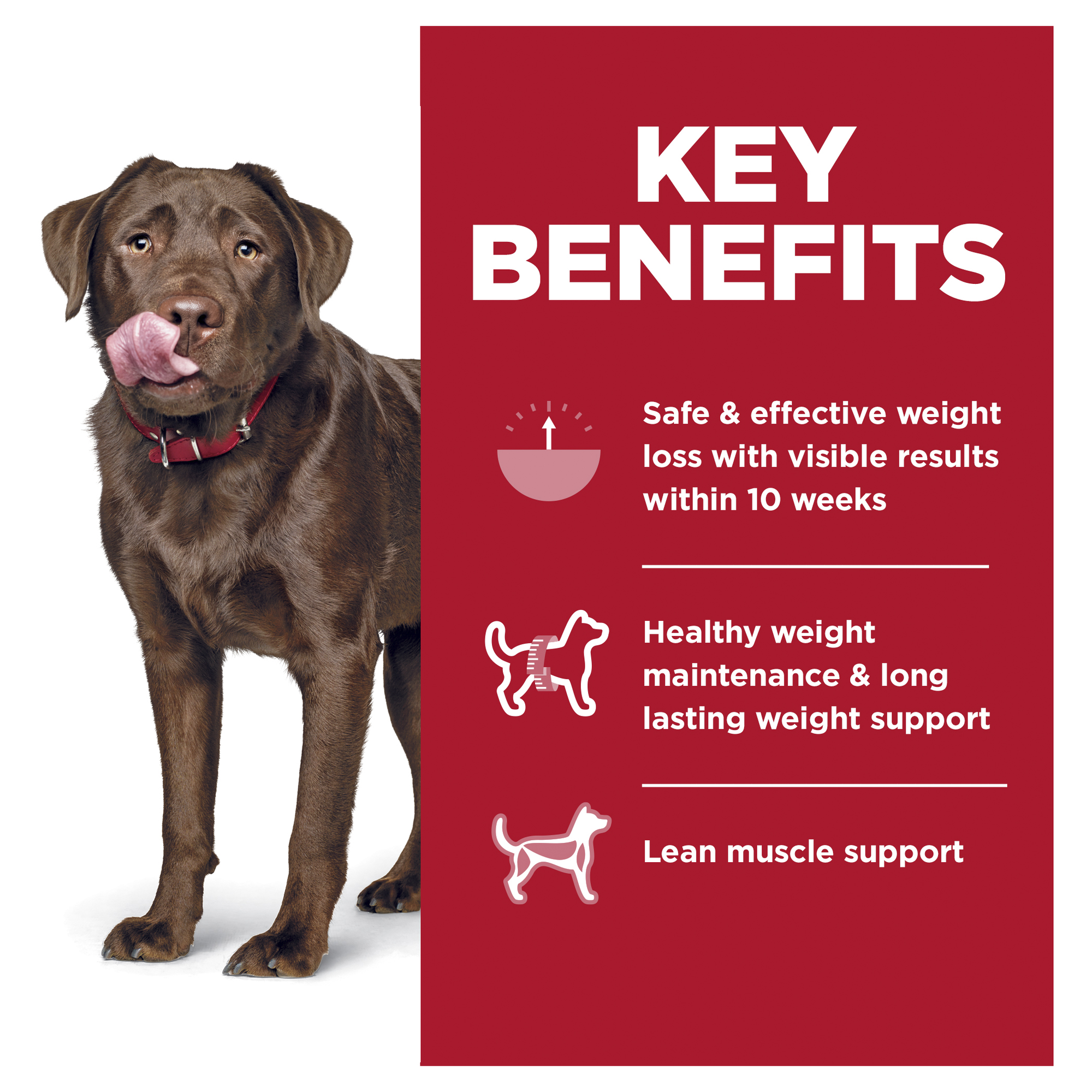 Hill's Science Diet Dry Dog Food Adult Perfect Weight Large Breed