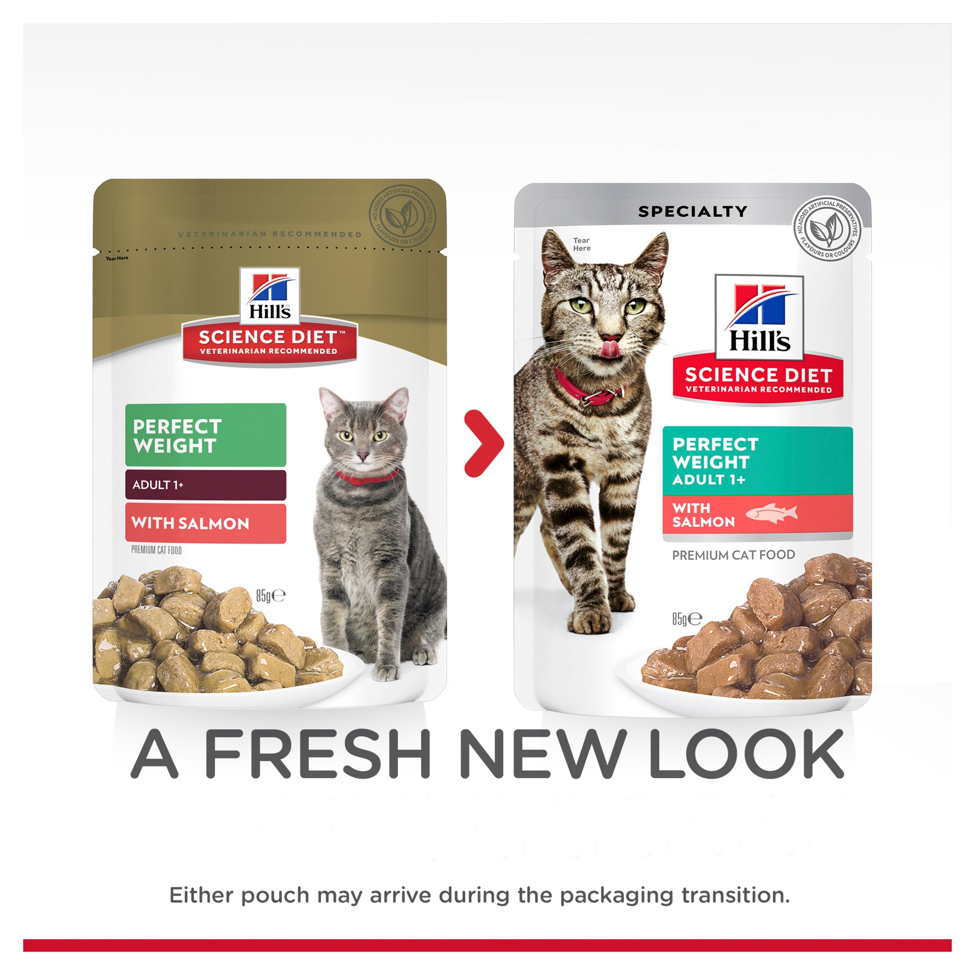 Hill's Science Diet Adult Perfect Weight Salmon Cat Food Pouches 07