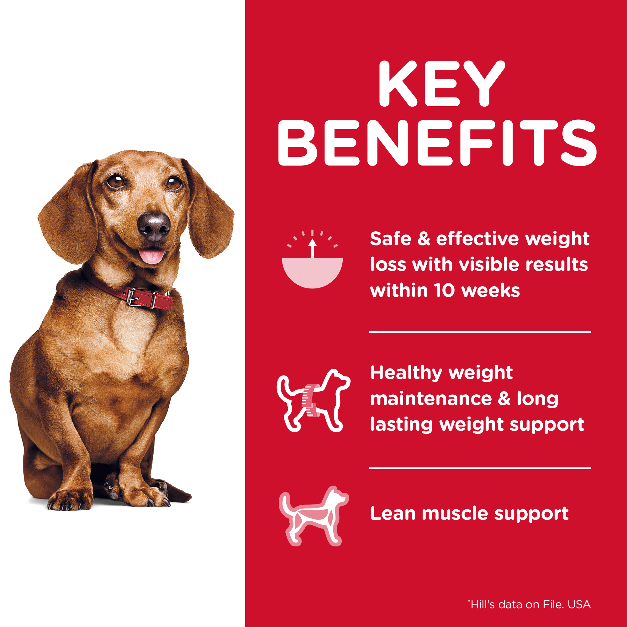 Hill's Science Diet Dry Dog Food Adult Perfect Weight Small & Mini