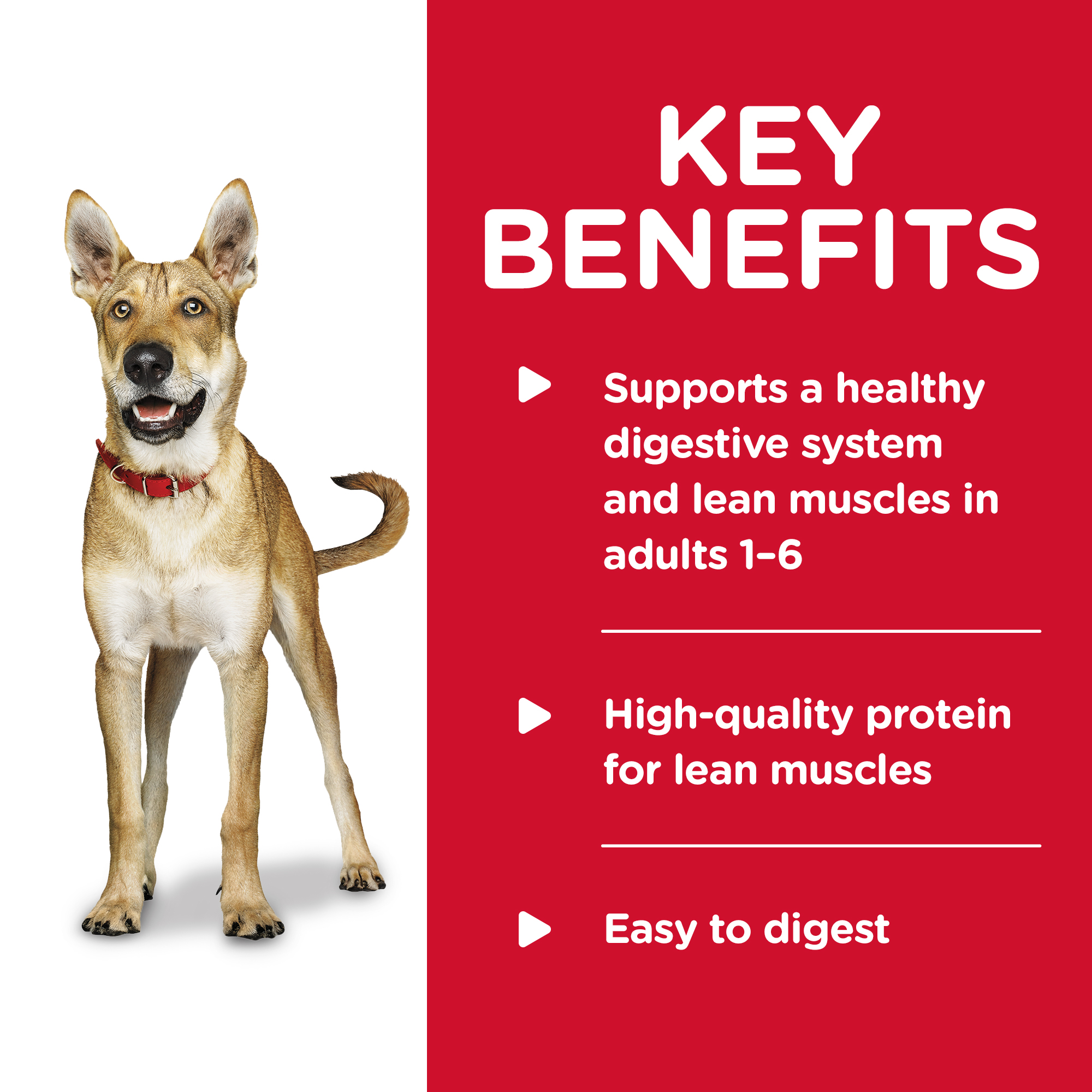 Hill's Science Diet Canned Dog Food Adult Savory Stew Beef & Vegetable 06