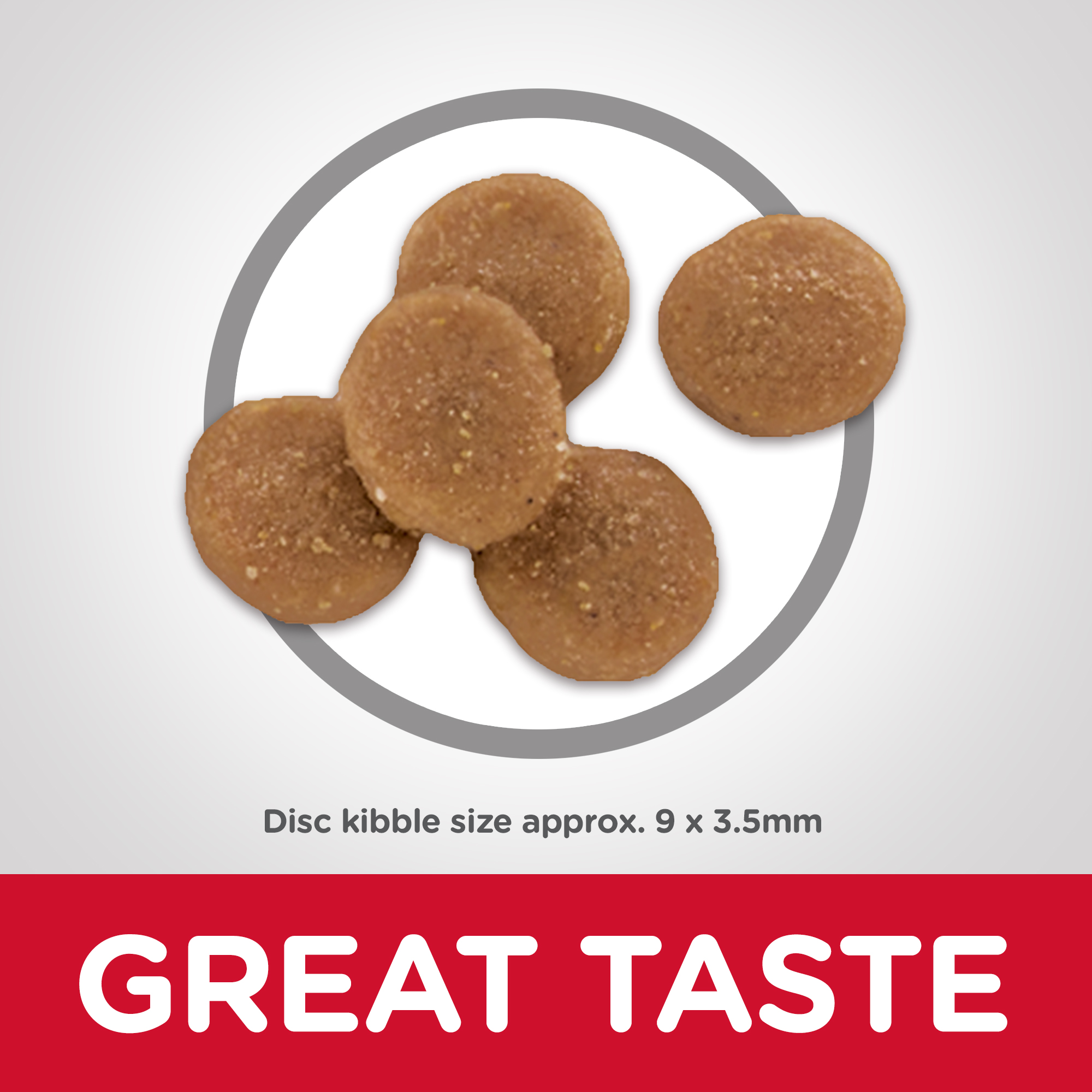 Hill's Science Diet Dry Cat Food Adult Sensitive Stomach & Skin