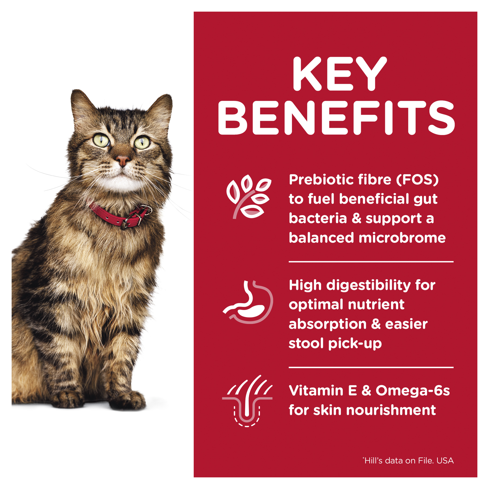 Hill's Science Diet Dry Cat Food Adult Sensitive Stomach & Skin