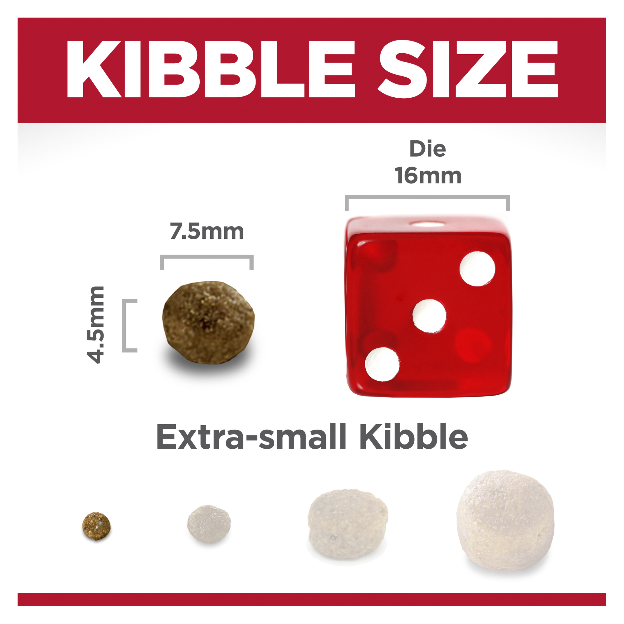 Hill's Science Diet Dry Dog Food Adult Small Paws Lamb & Rice