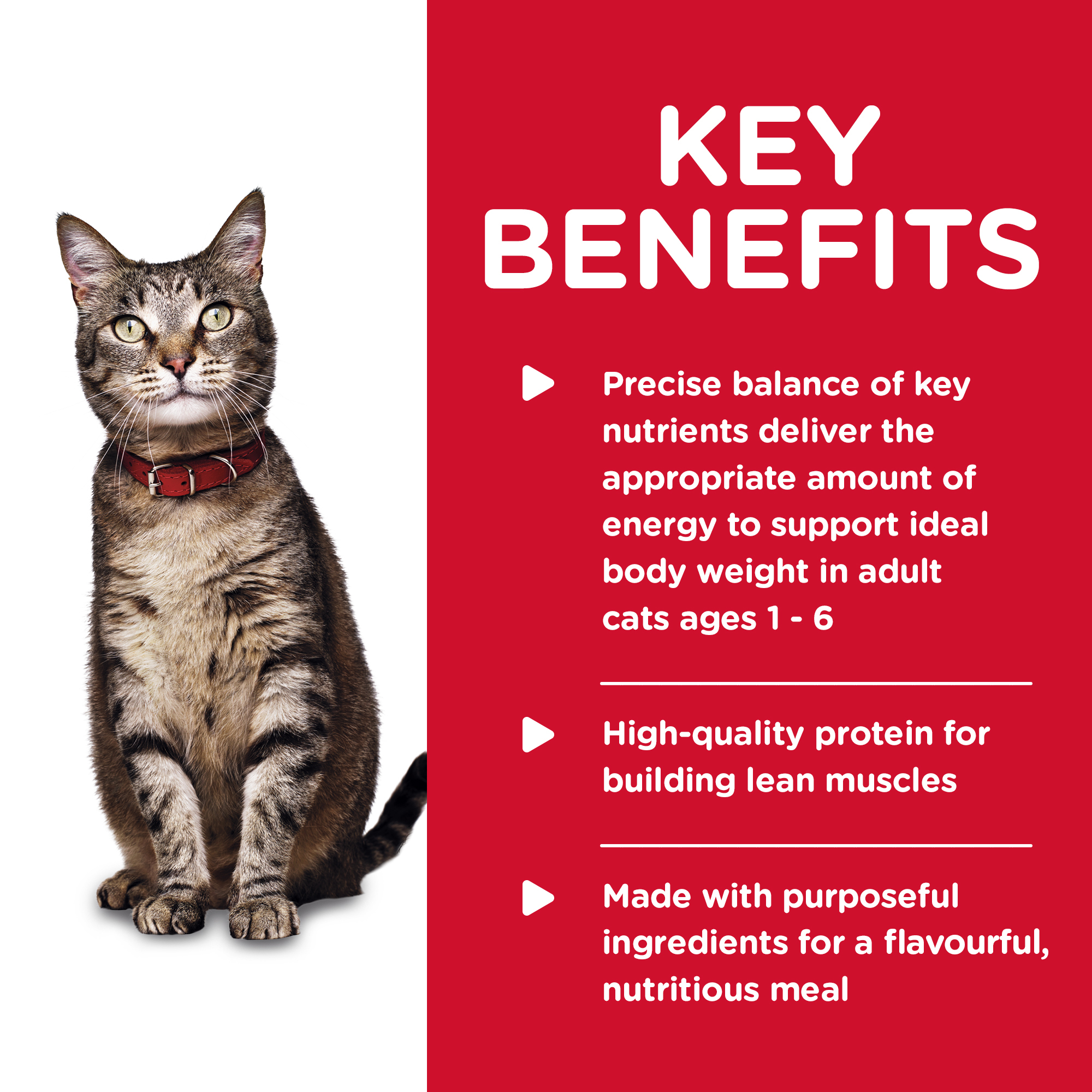 Hill's Science Diet Canned Cat Food Adult Tender Dinners Chicken 05