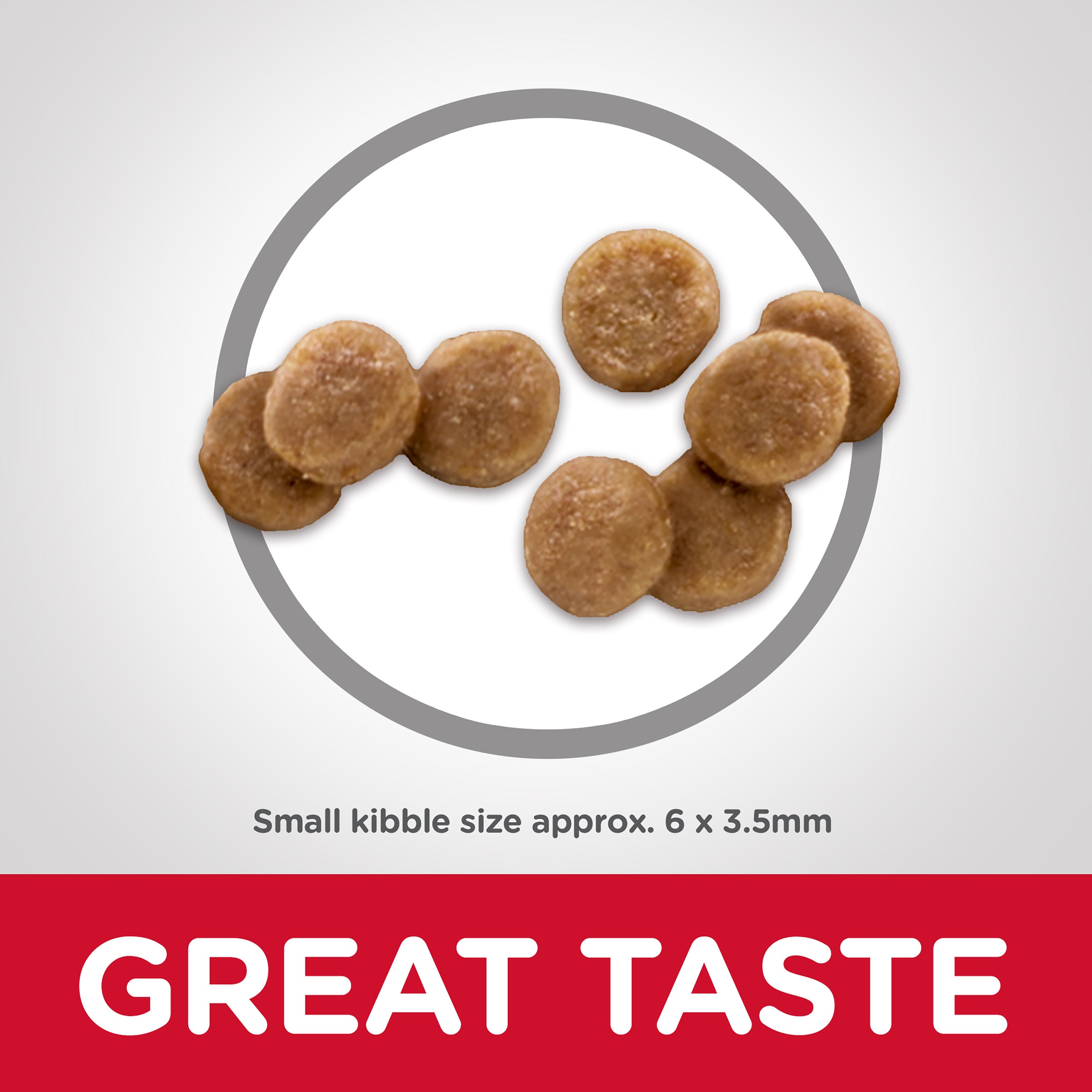 Hill's Science Diet Dry Cat Food Kitten 08