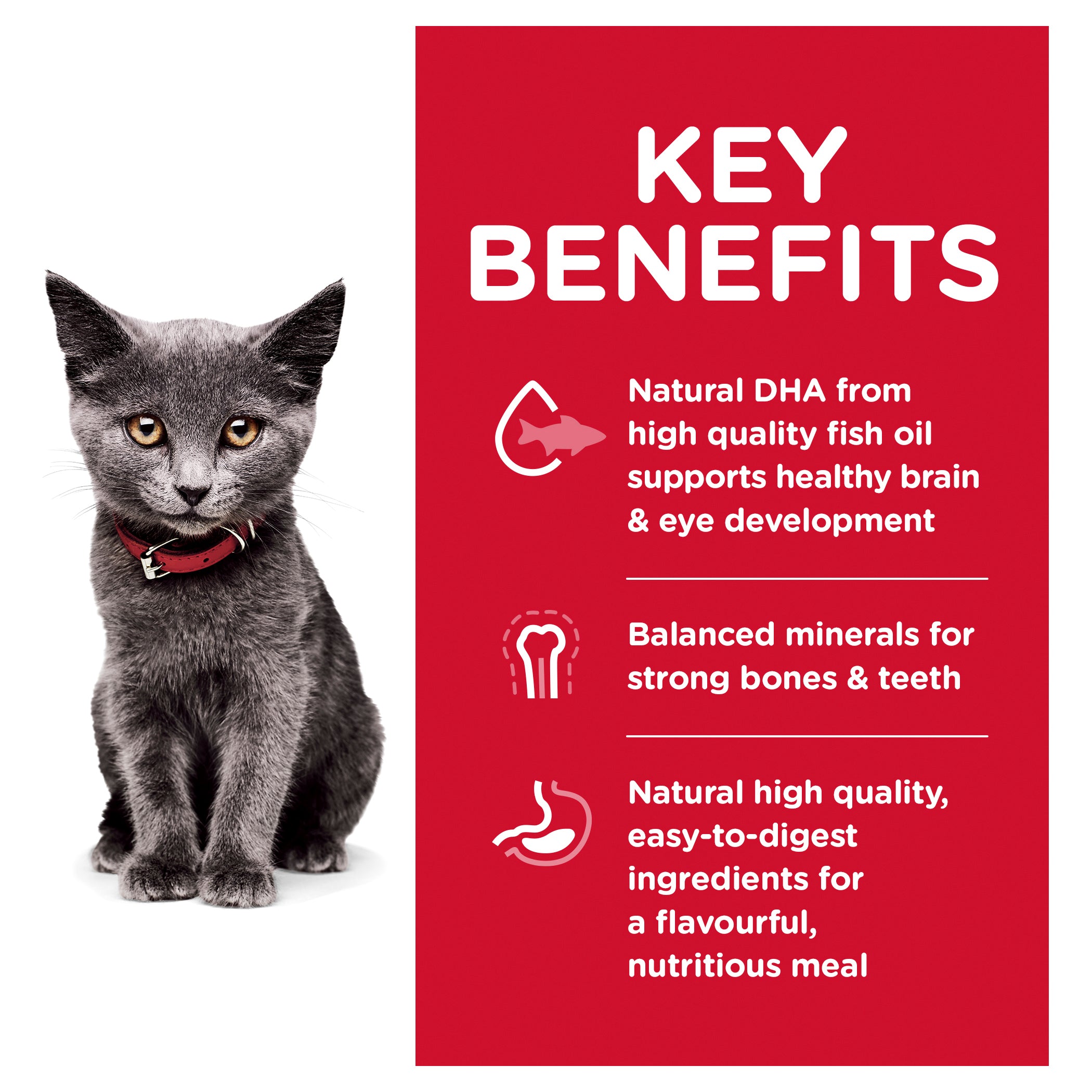 Hill's Science Diet Dry Cat Food Indoor Kitten 04
