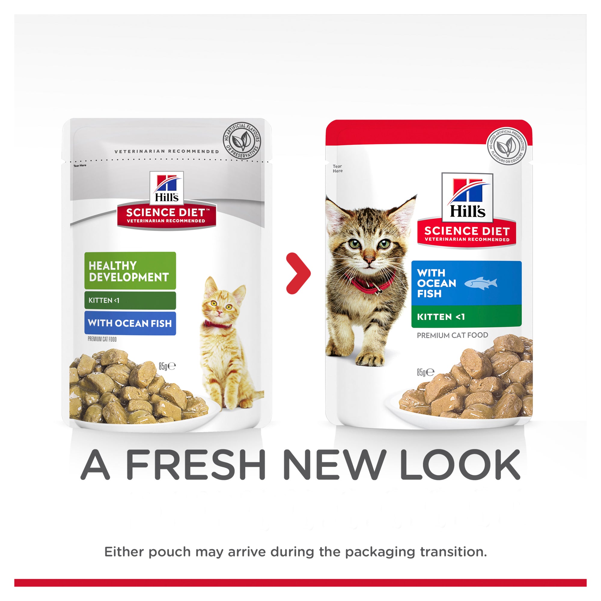 Hill's Science Diet Kitten Ocean Fish Cat Food Pouches 07