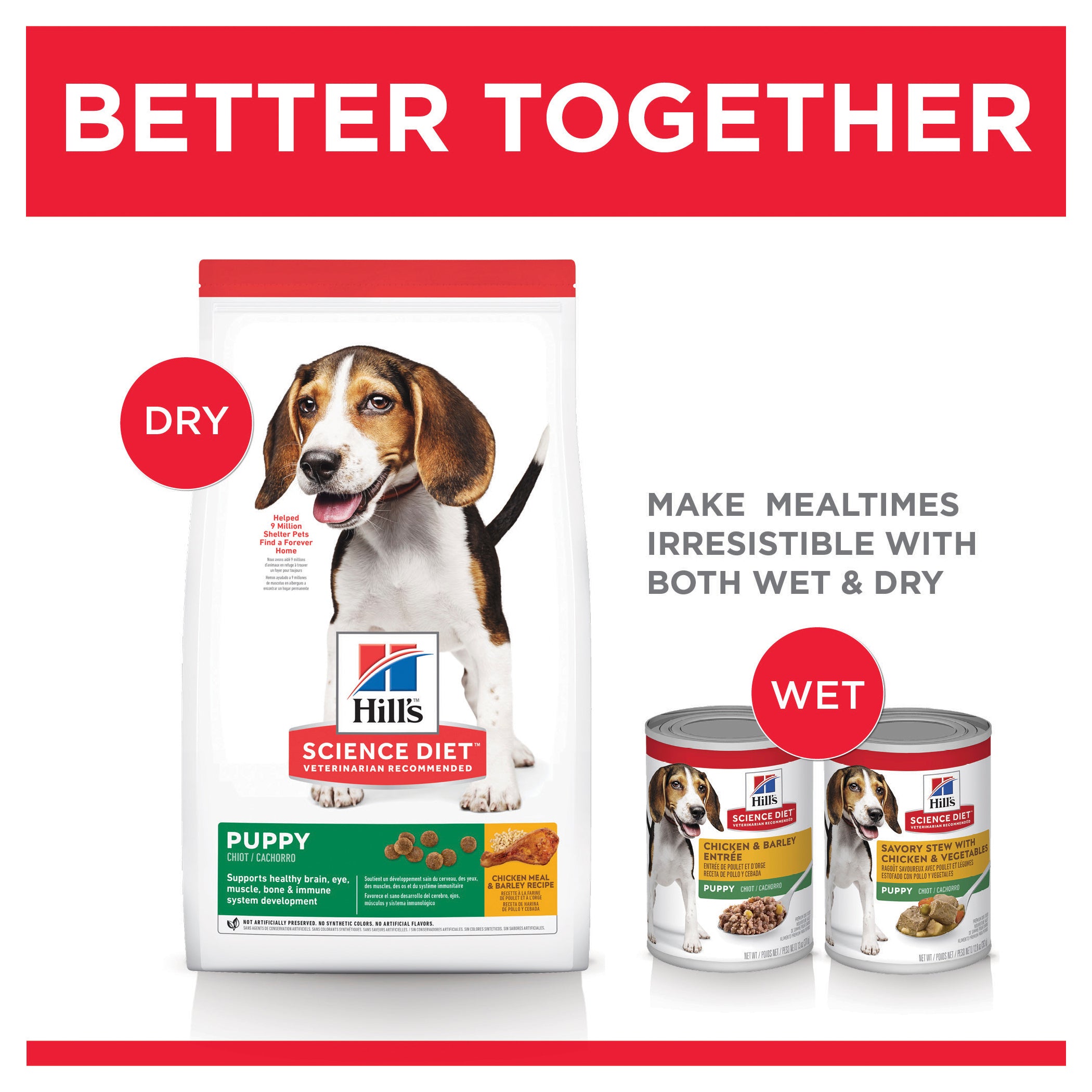 Hill's Science Diet Dry Dog Food Puppy 10