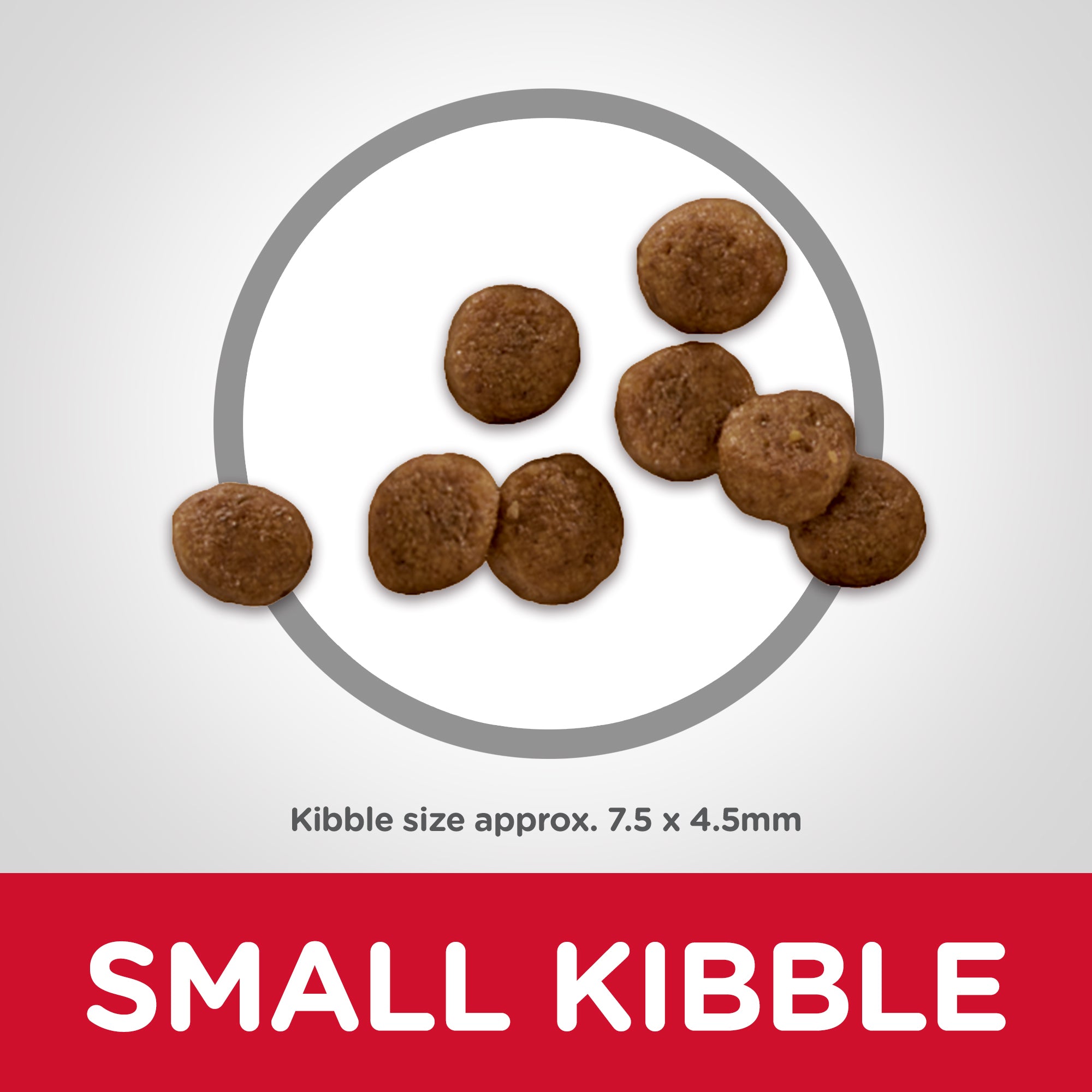 Hill's Science Diet Dry Dog Food Small Paws Puppy 05