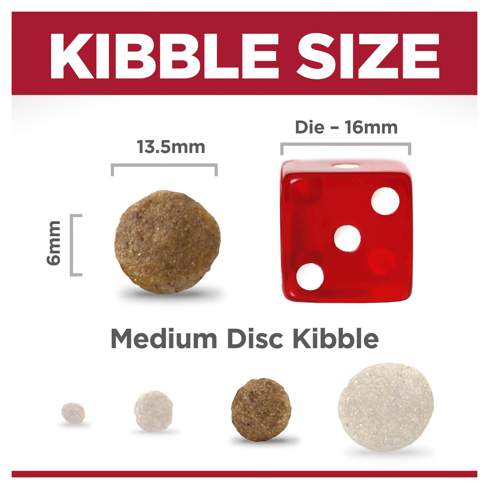 Hill's Science Diet Dry Dog Food Adult Sensitive Stomach & Skin Large Breed