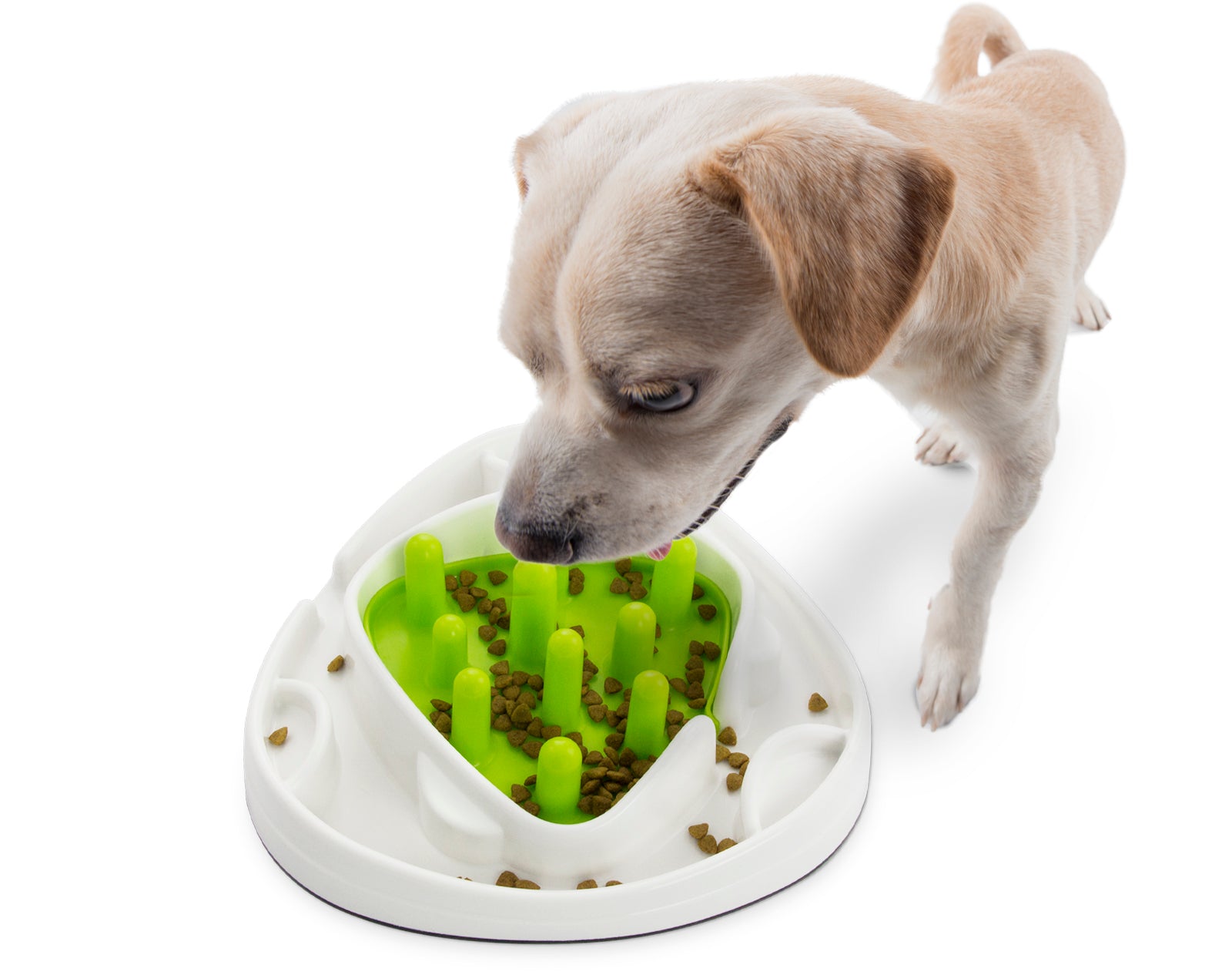 All for Paws AFP Dog Interactive Food Maze