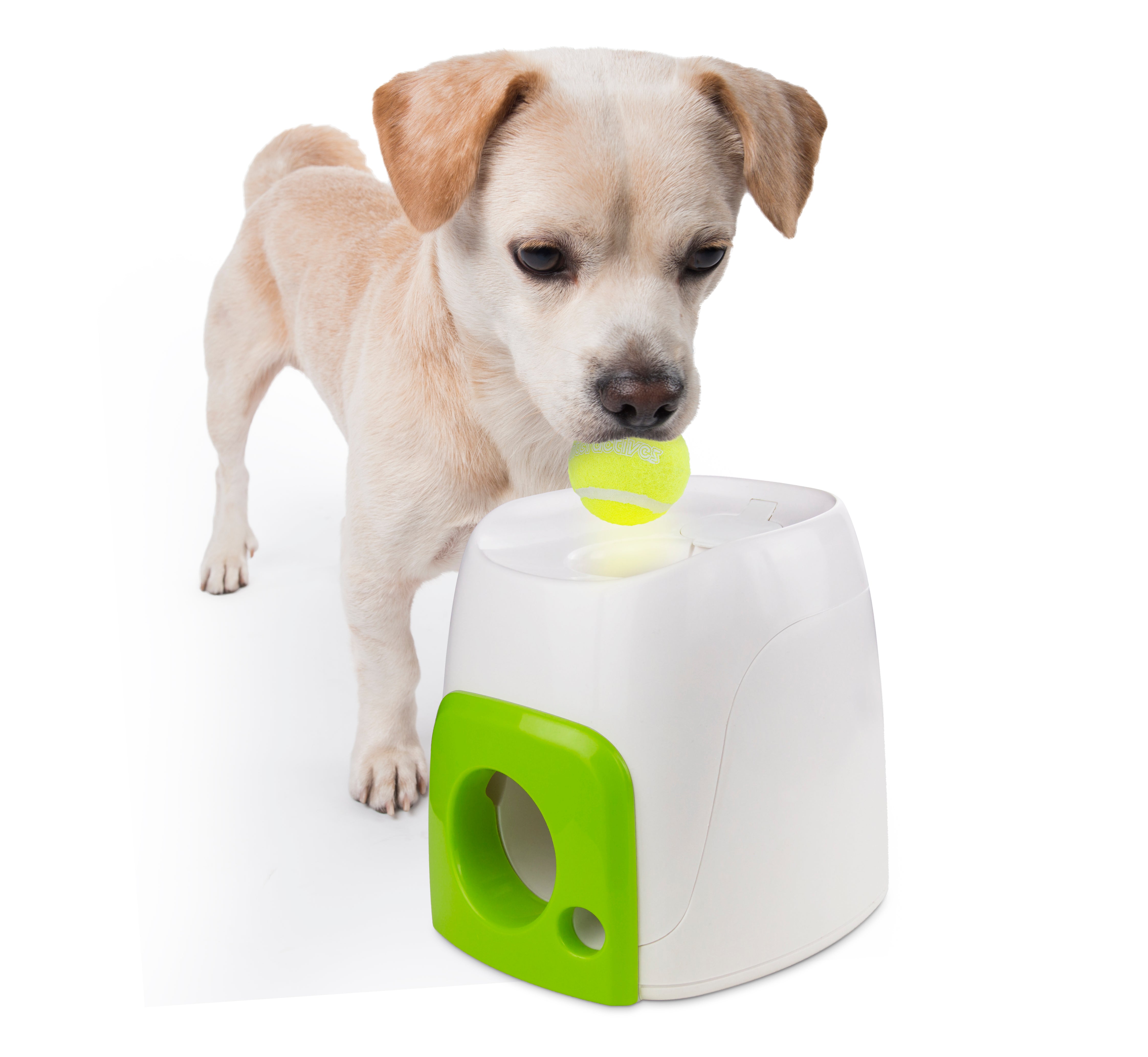 All for Paws AFP Dog Interactive Fetch 'N' Treat