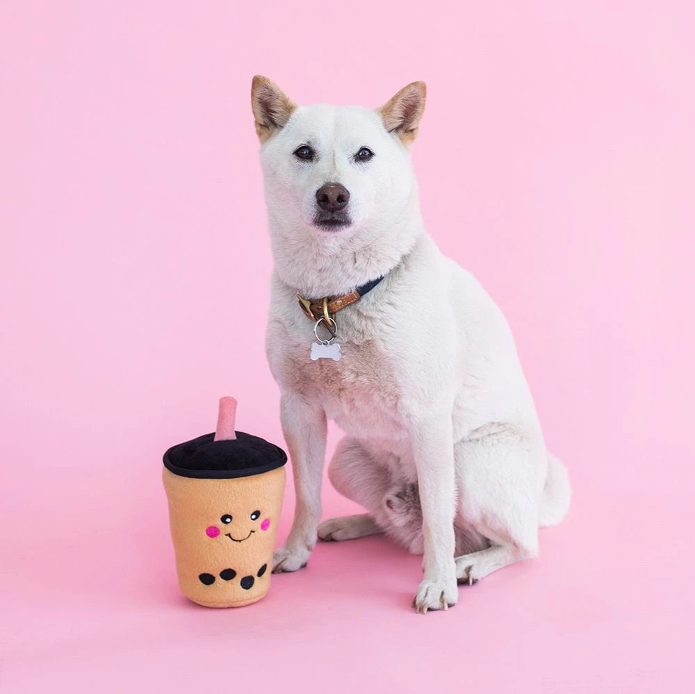 White dog on a pink backdrop beside a Zippy Paws NomNomz boba milk tea plush toy