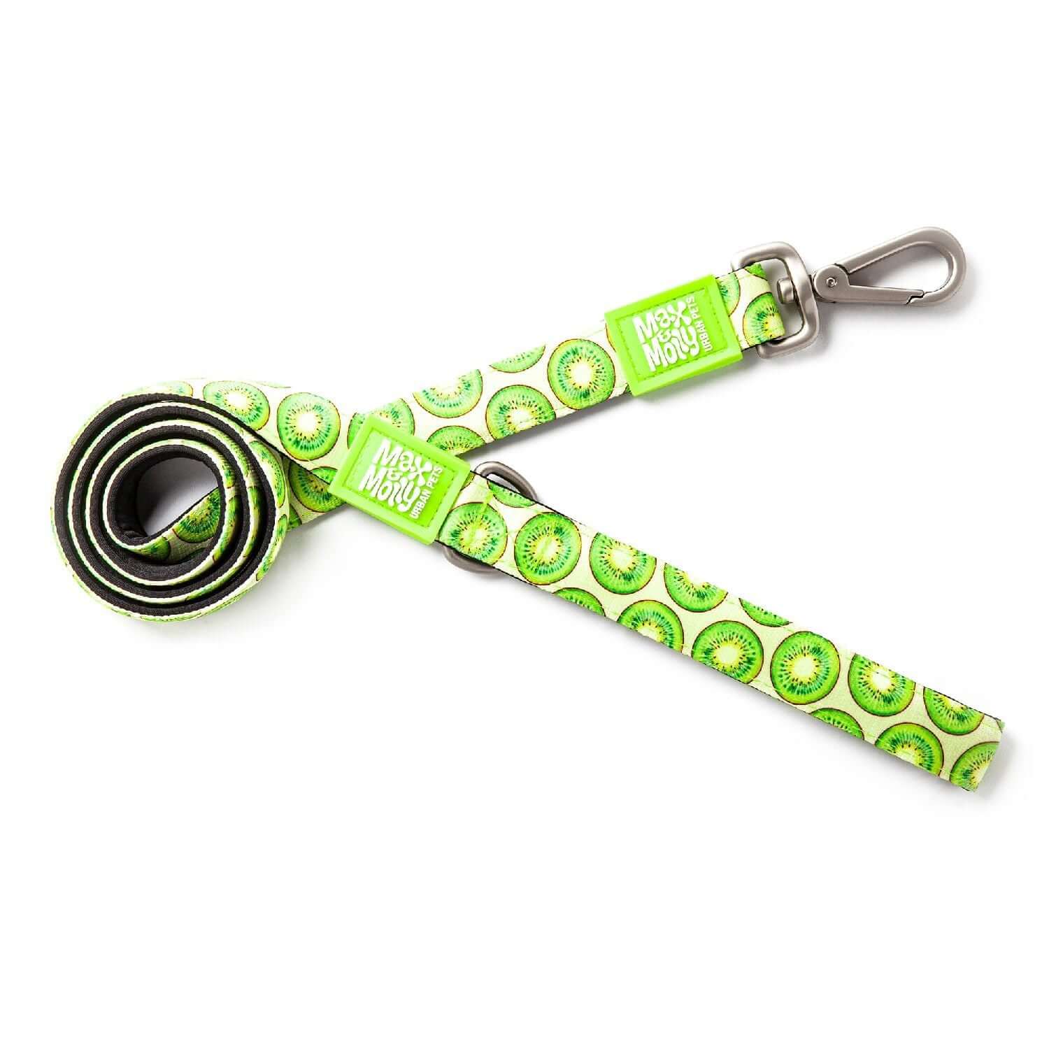 Max & Molly Dog Leash -Kiwi 01