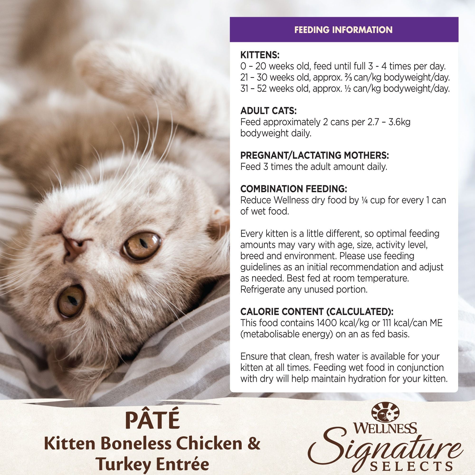Wellness Core Wet Cat Food Signature Selects Kitten Boneless Chicken & Turkey