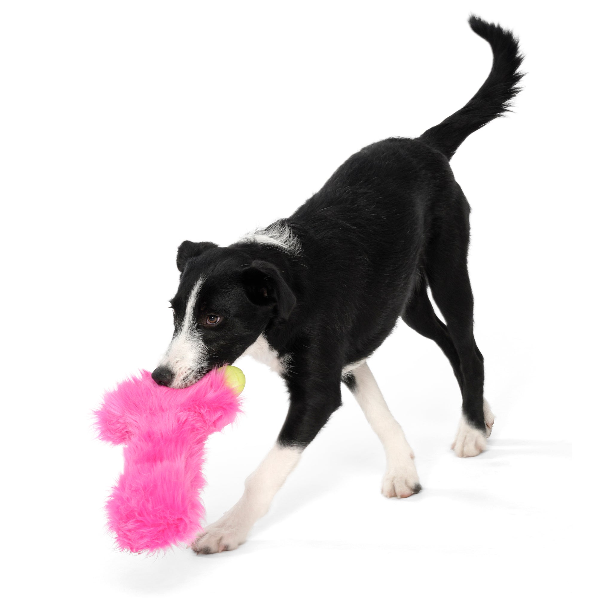 West Paw Rowdie Tough Plush Dog Toys Lewis