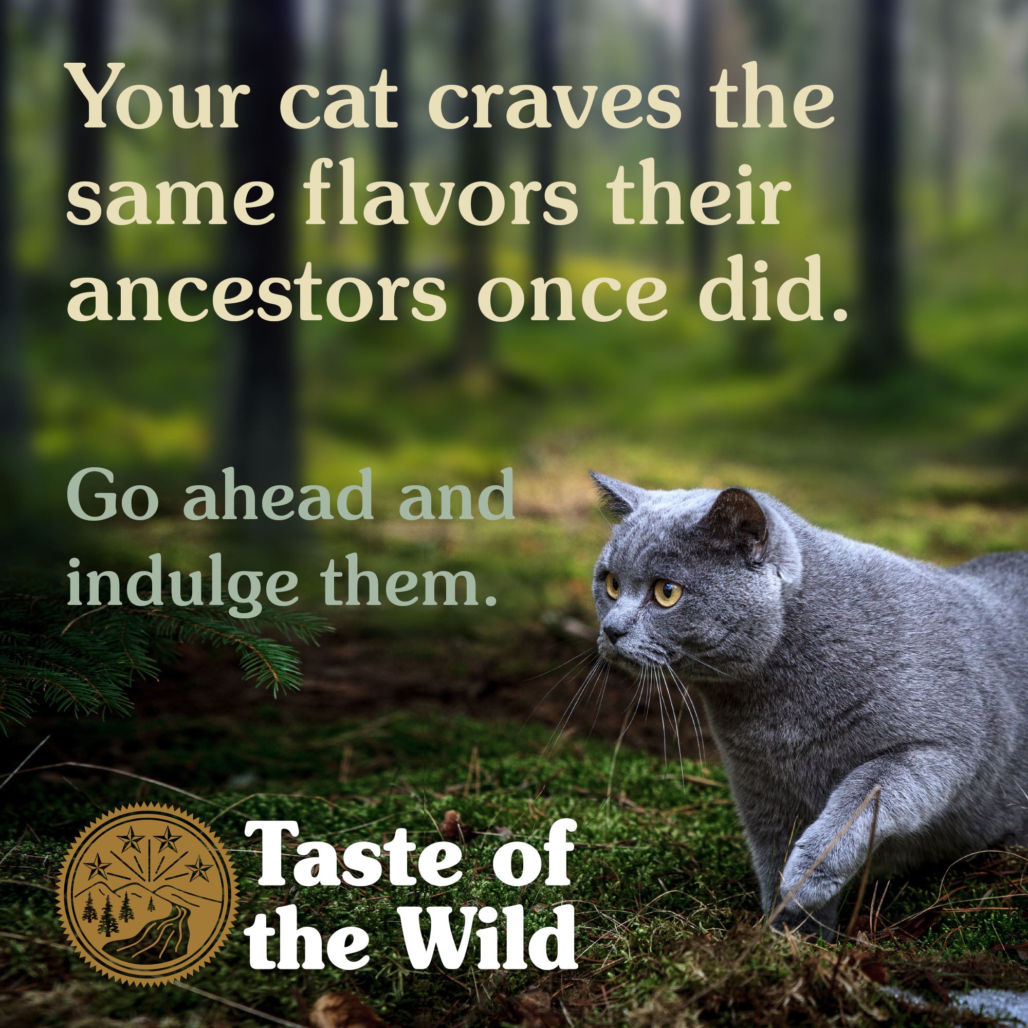 Taste of the Wild Rocky Mountain Dry Cat Food