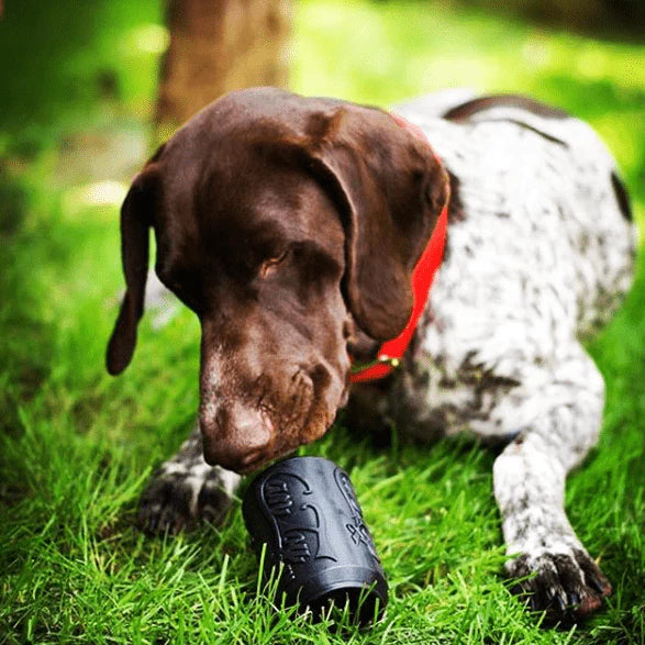 SodaPup Dog Chew Toys Magnum Can Toy Ultra Durable Rubber