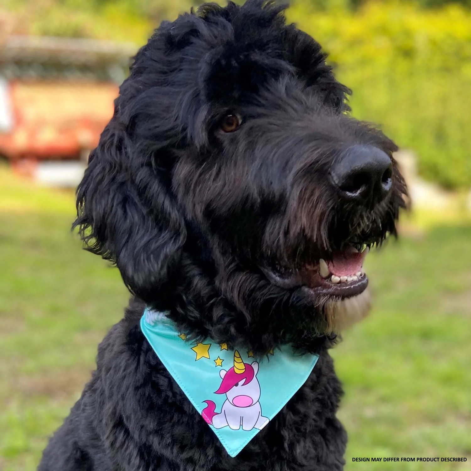 Max & Molly Bandana For Cats & Dogs