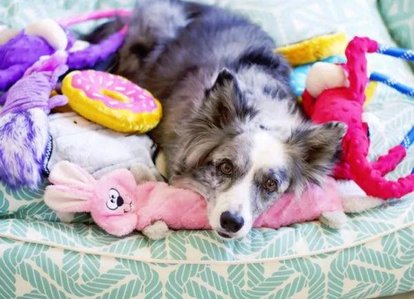 Zippy Paws Dog Toys Plush Jigglerz - Bunny 04