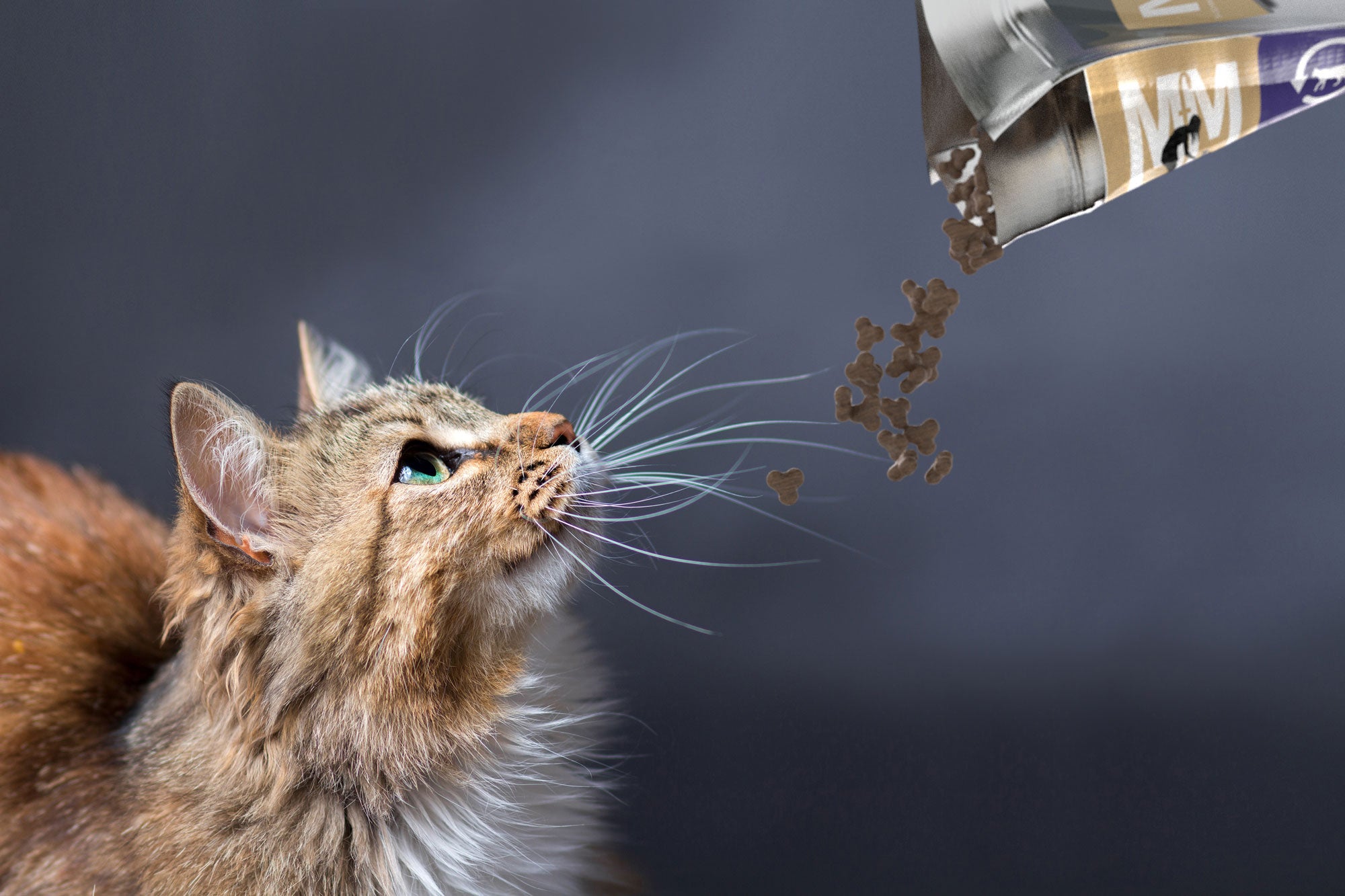 MfM Meals For Meows Dry Cat Food Hypoallergenic Gluten Free Kangaroo & Turkey