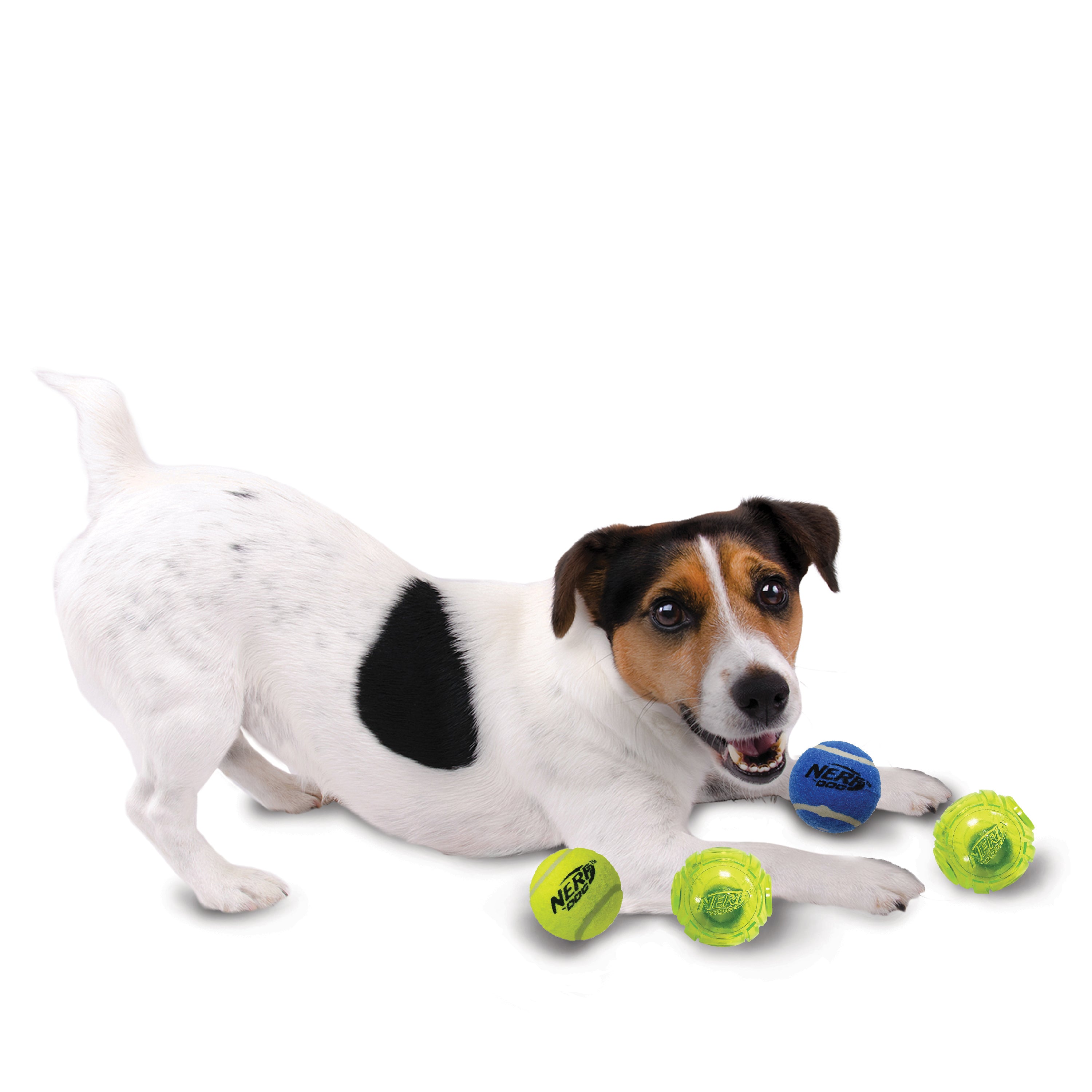 Nerf Dog Toy - 4 Ball Pack - 2 x Squeak Tennis Balls / 2 x TPR Lightning LED Balls 6.25cm 05