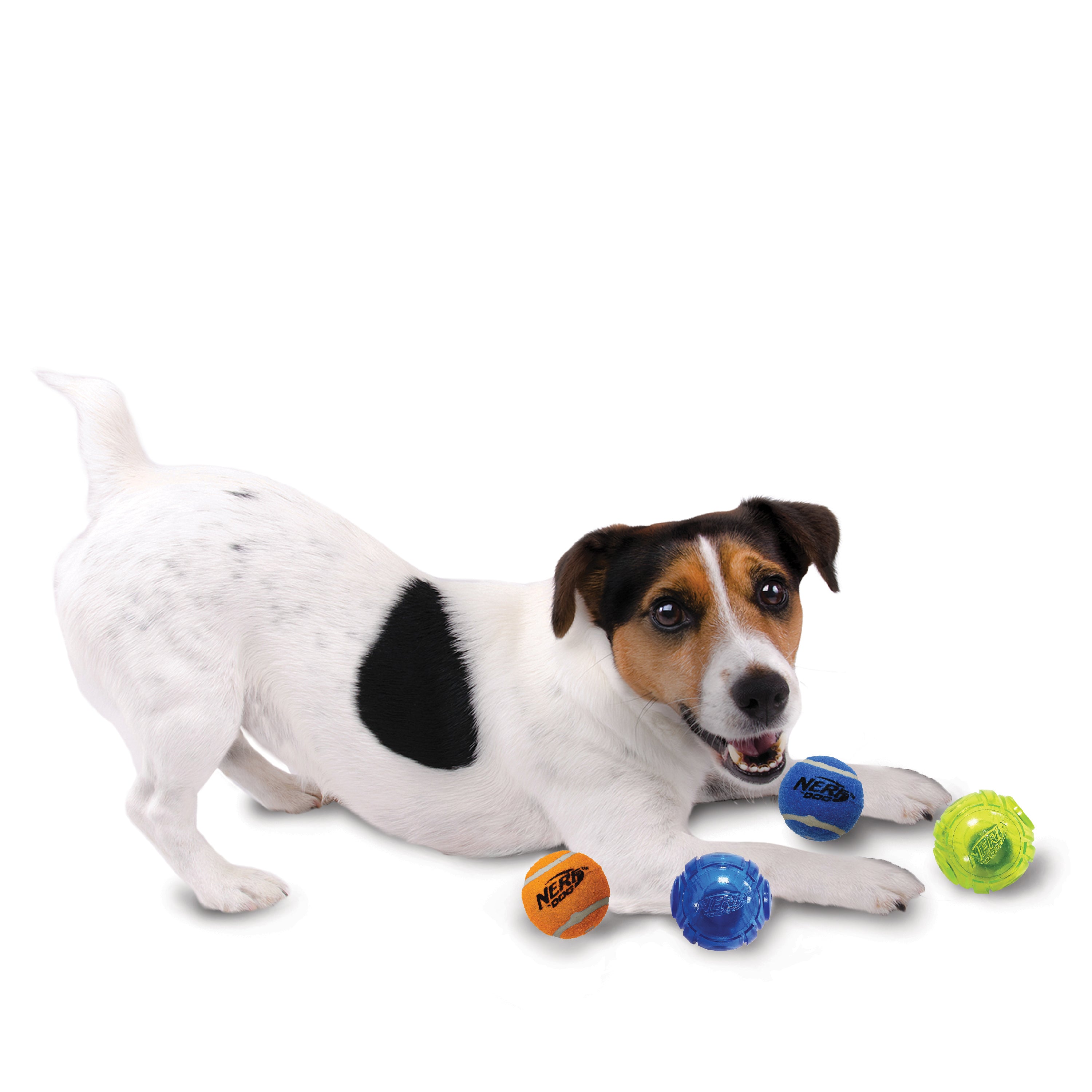 Nerf Dog Toy - 4 Ball Pack - 2 x Squeak Tennis Balls / 2 x TPR Lightning LED Balls 5cm 05
