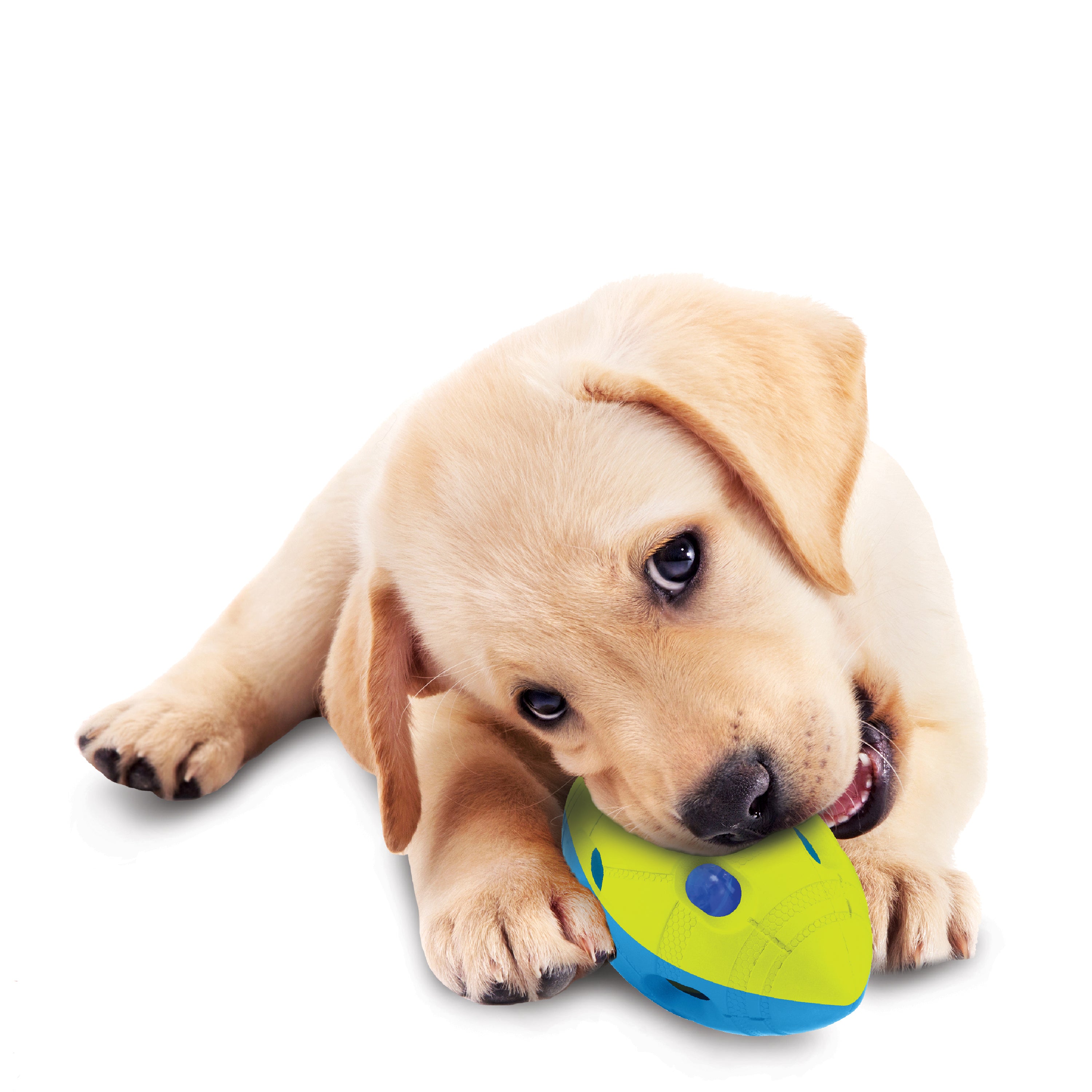 Nerf Dog Toy - Led Bash Football Blue and Green 14cm 05