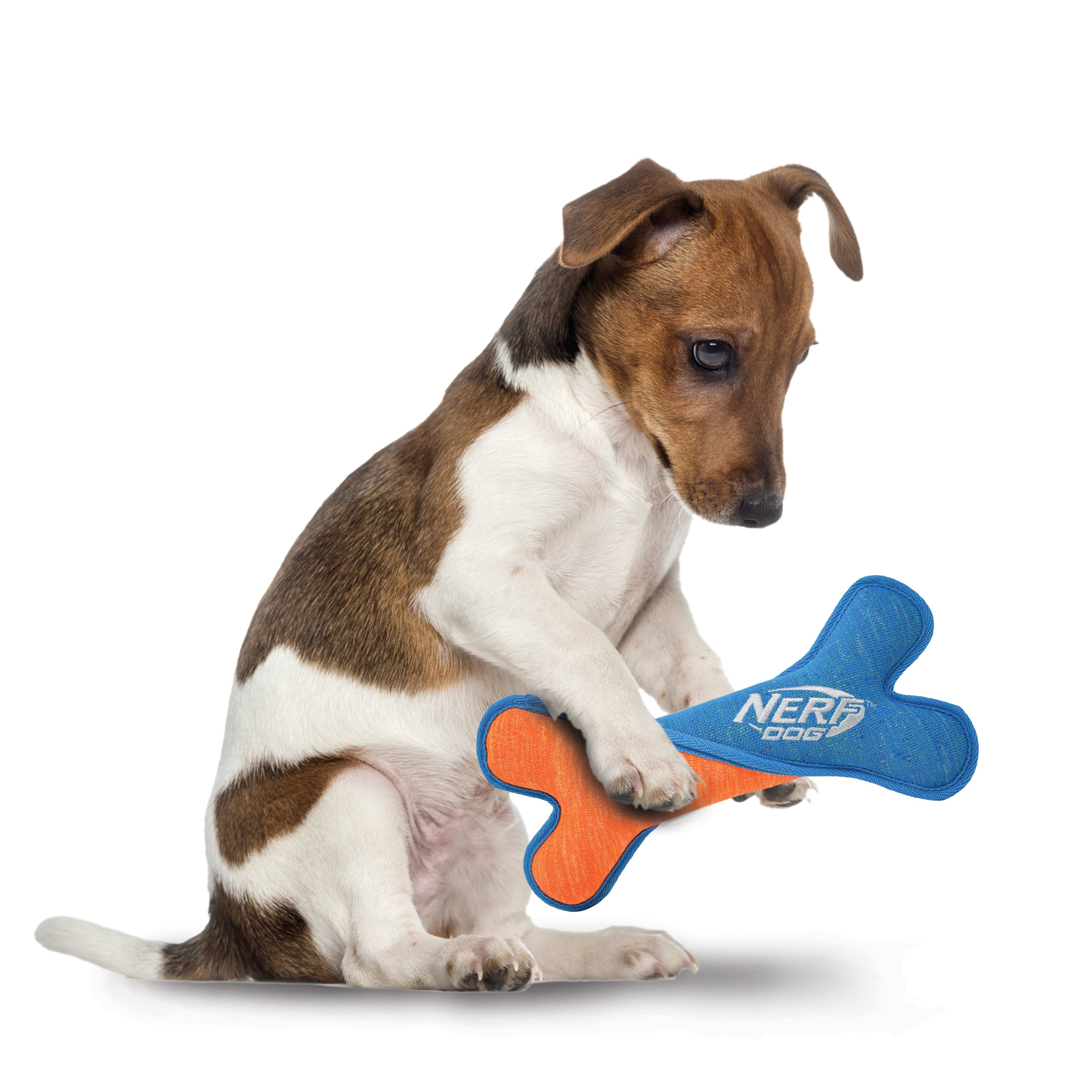 Nerf X Weave Dog Toy - Squeak Twist Bone Blue/Orange 24cm 05