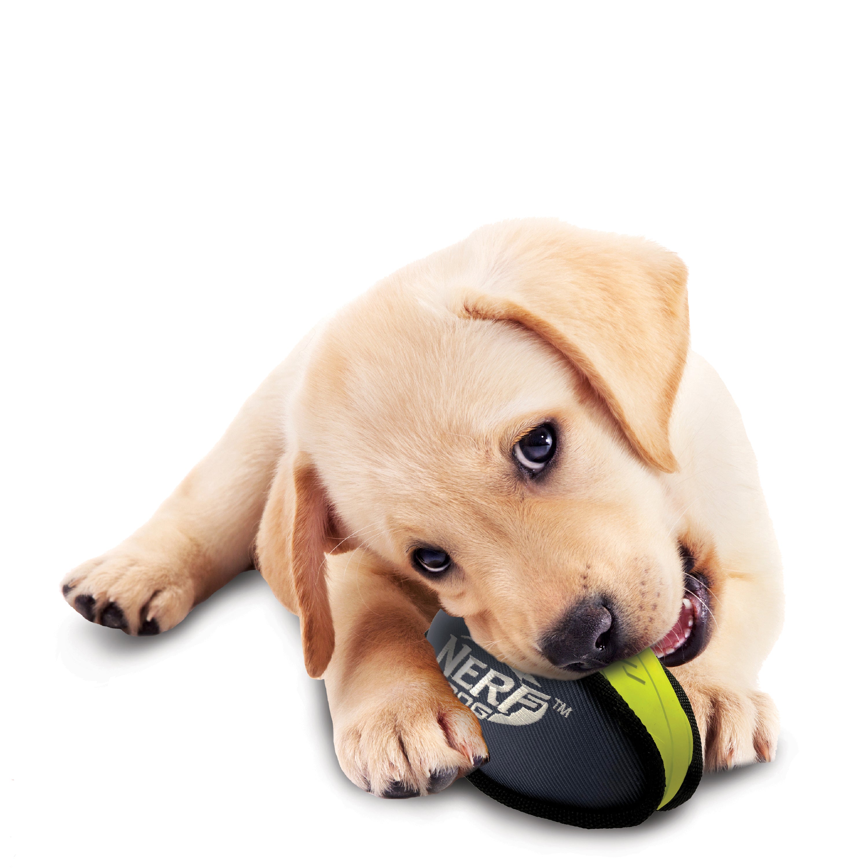 Nerf Tuff Dog Toy - Rubber Nylon Plush Football Green/Grey 17 cm 05