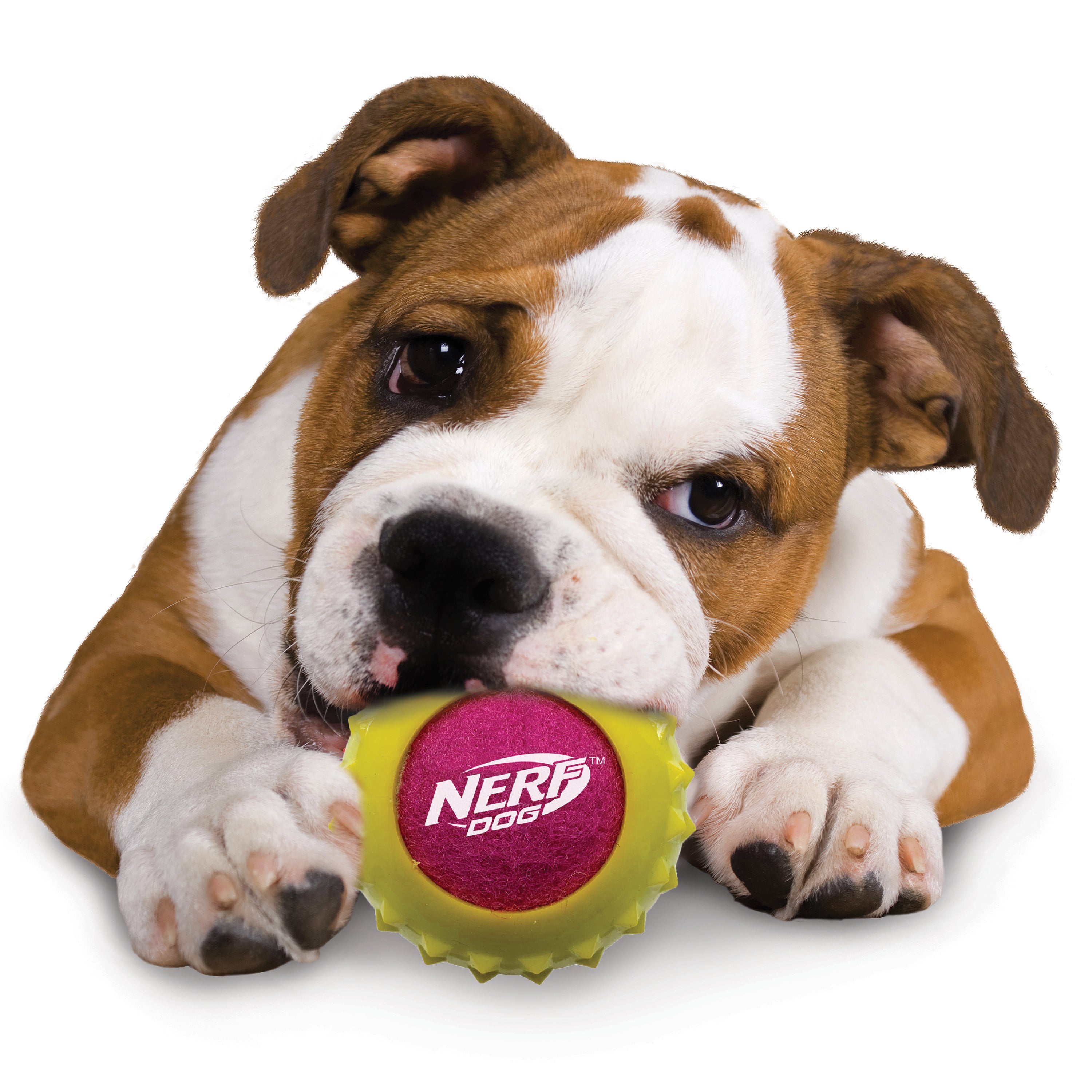 Nerf Dog Toy - Twin Armour Ball Set 3-Pack 05