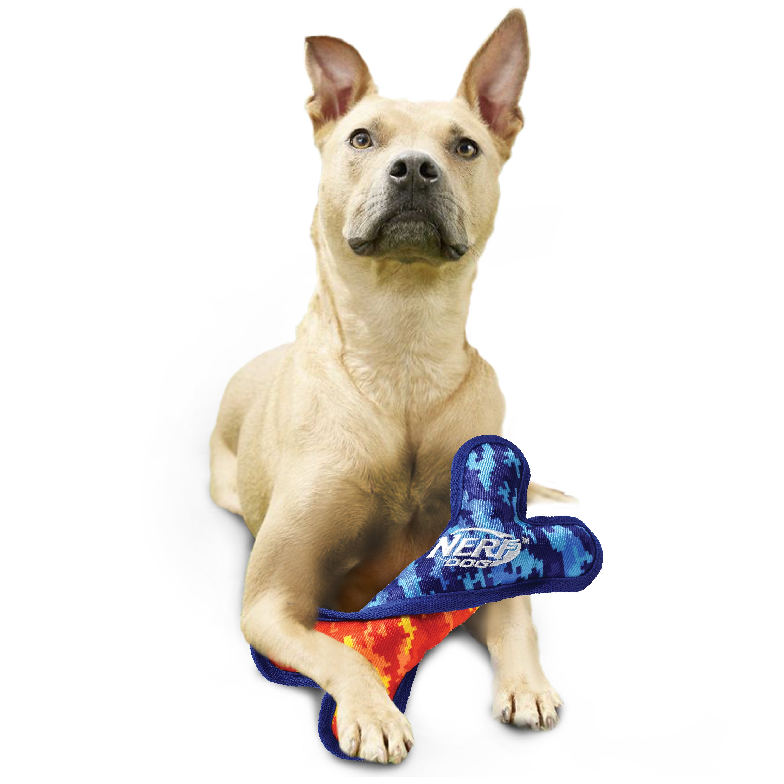 Nerf Grs Nylon Dog Toy - Crunch & Squeak Twisted Bone 25cm 05