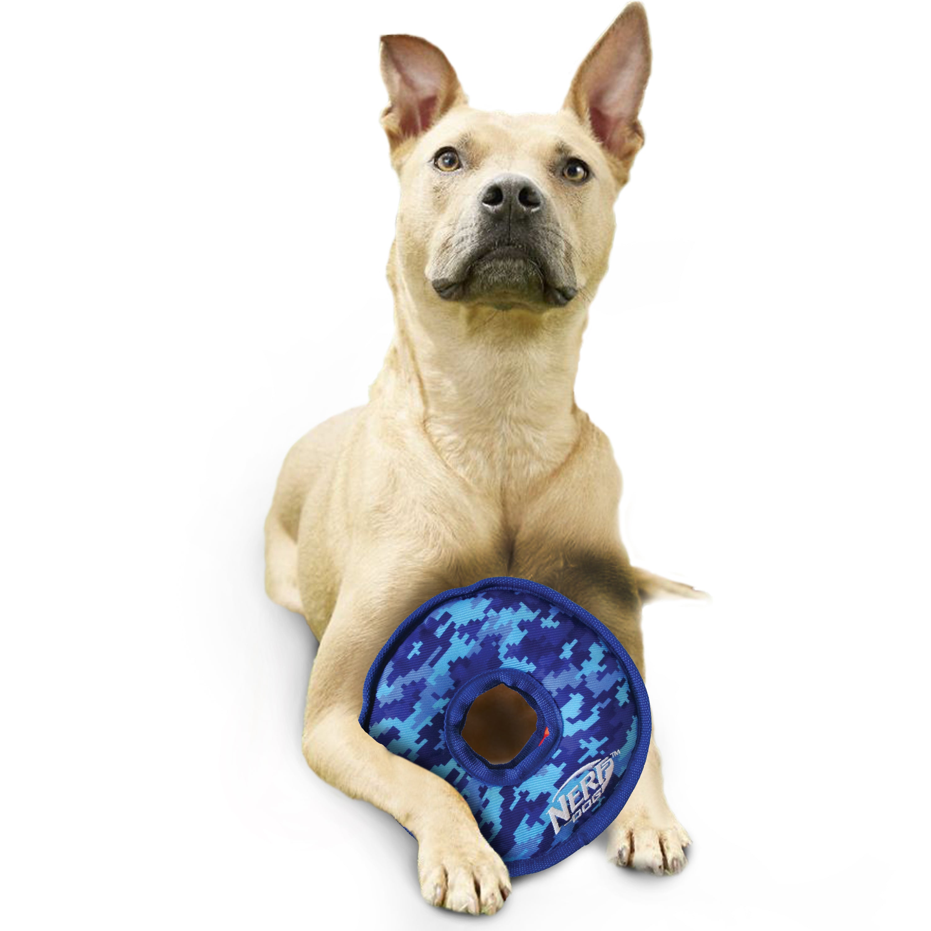 Nerf Grs Nylon Dog Toy - Toss & Tugg Ring 23cm 05