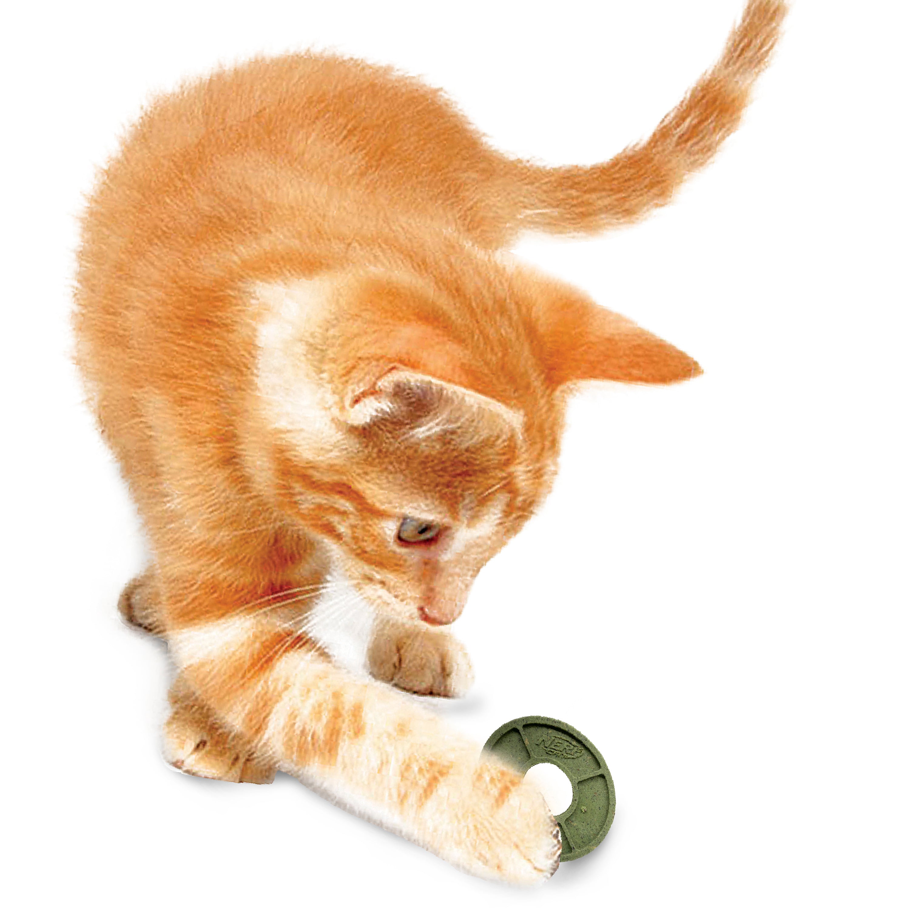 Nerf Cat Toy - Blaster Discs 6-Pack 04