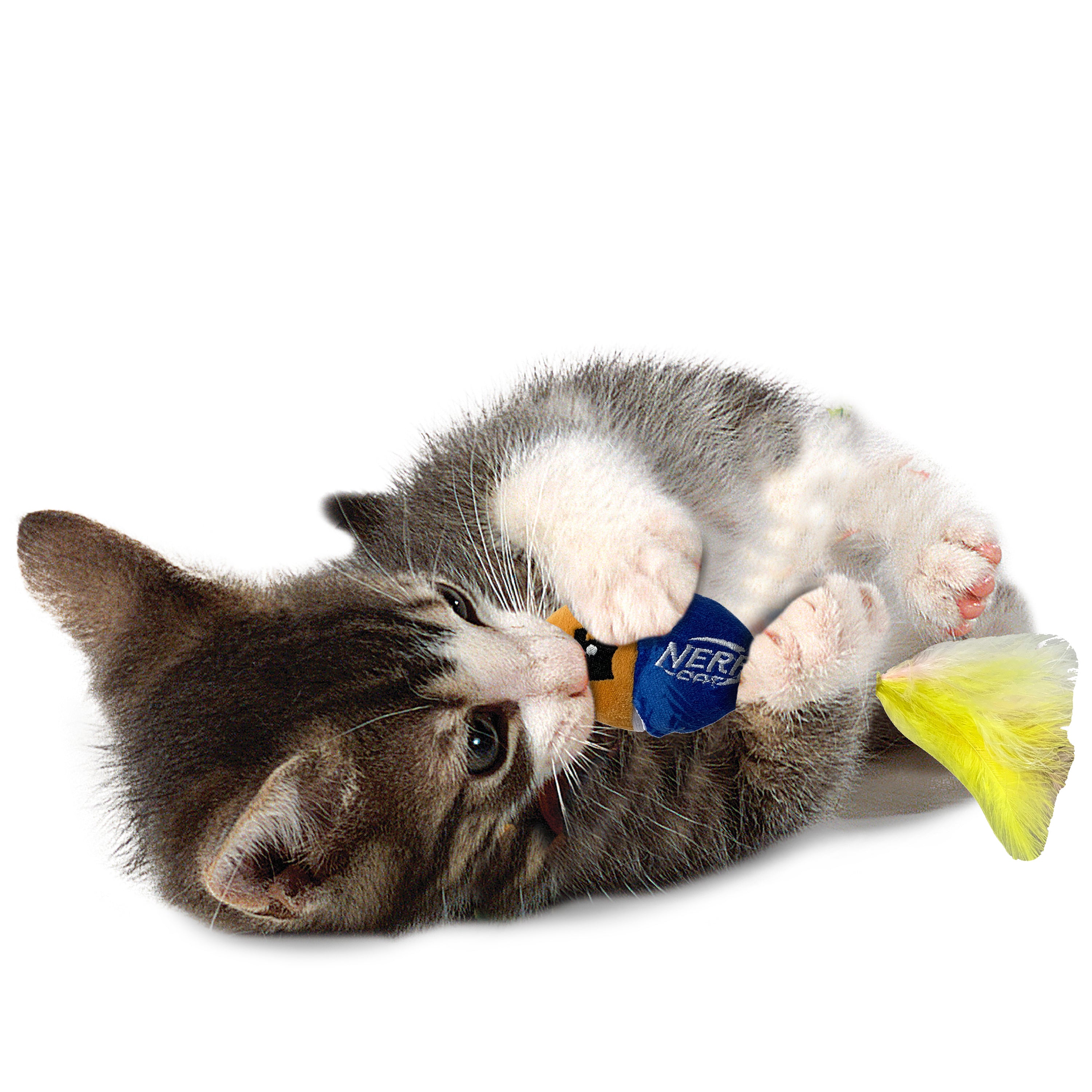 Nerf Cat Toy - Ultraplush Fish with Catnip Pouch and Bell 13cm 05