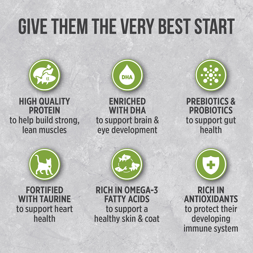 Nutrience Infusion Dry Cat Food Healthy Kitten Chicken 05