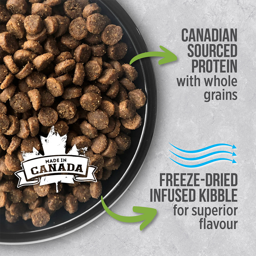 Nutrience Infusion Dry Cat Food Healthy Kitten Chicken 06